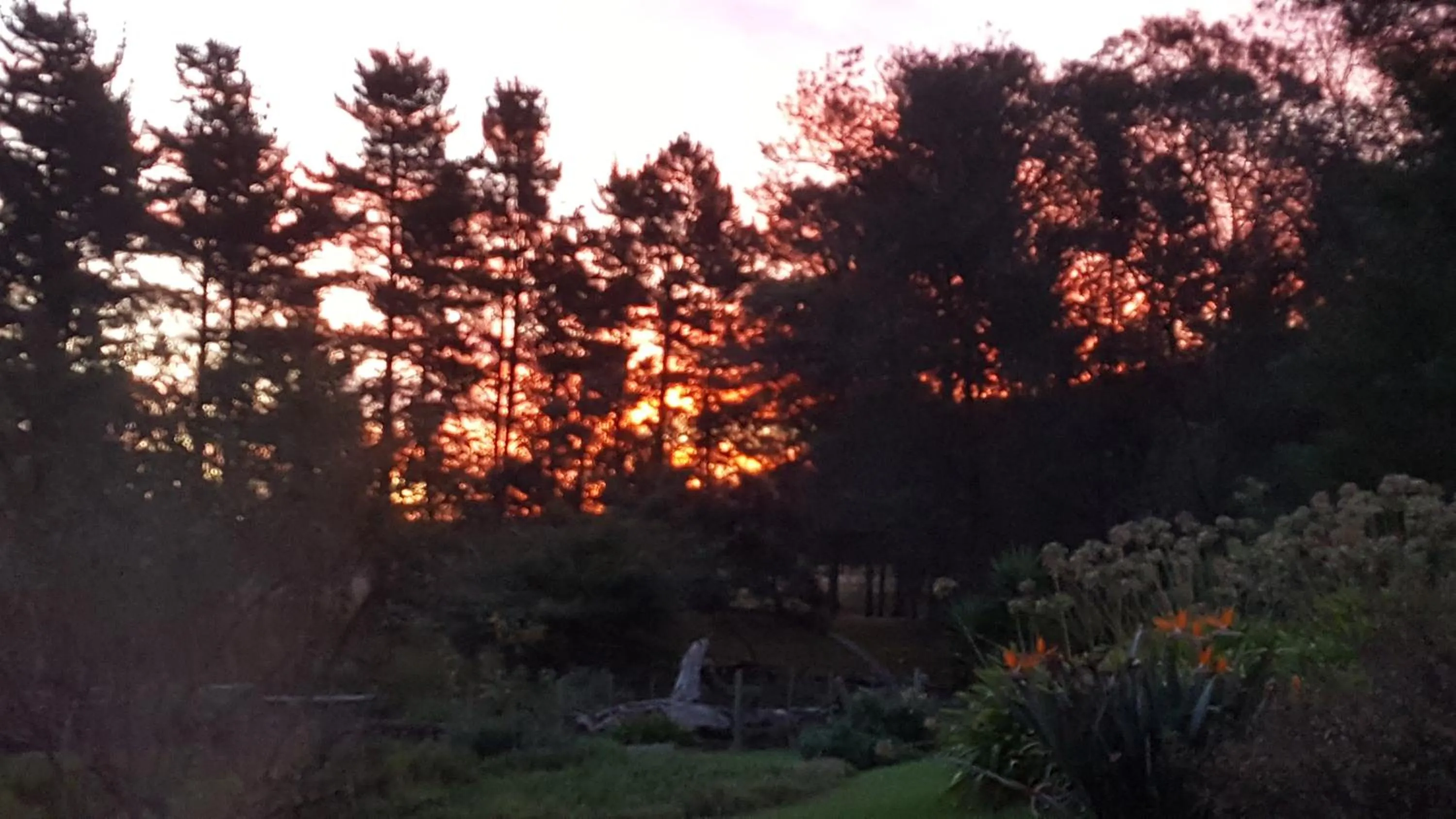 Natural landscape in Bella Manga Country Escape