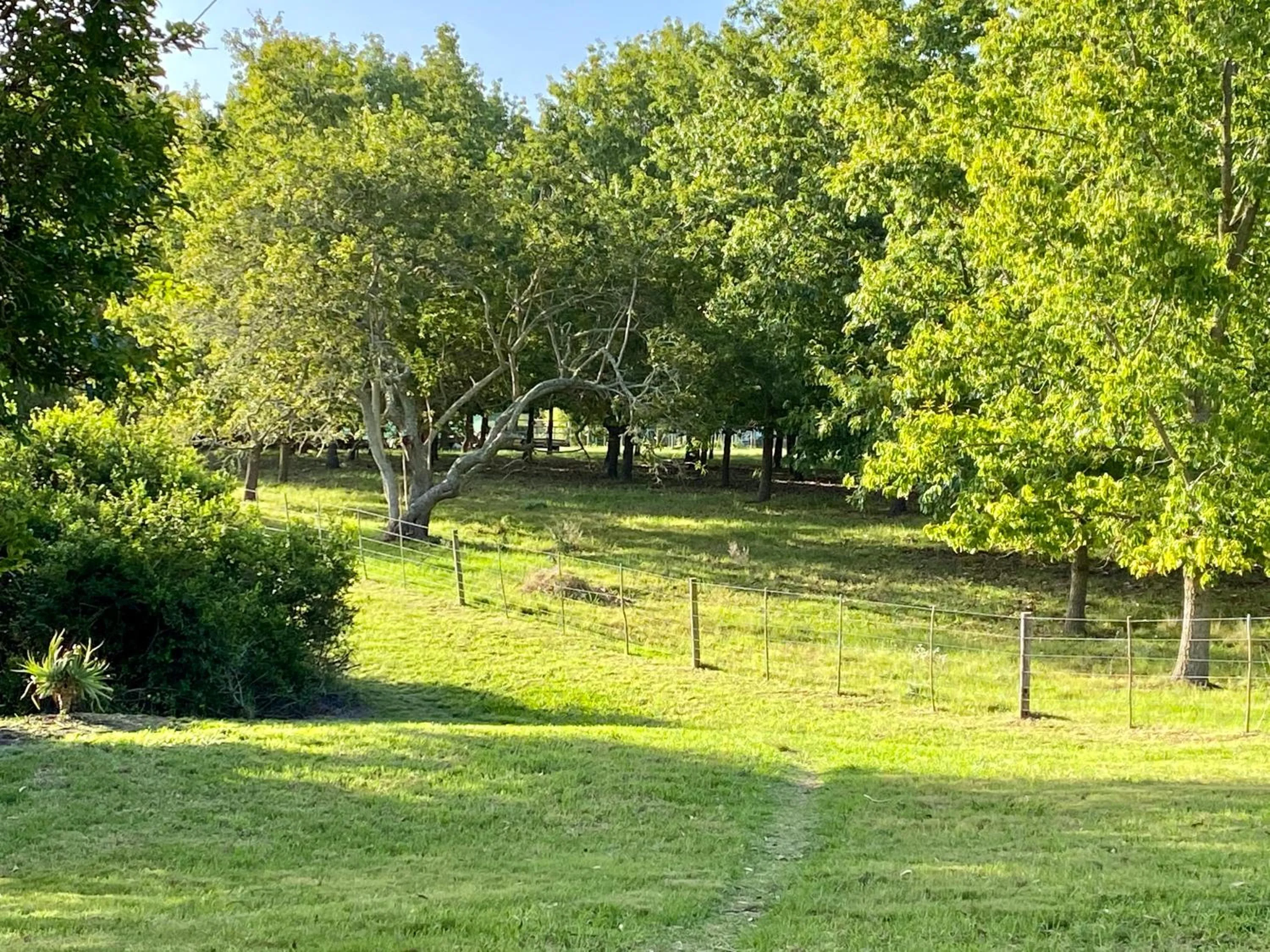 Garden view in Bella Manga Country Escape