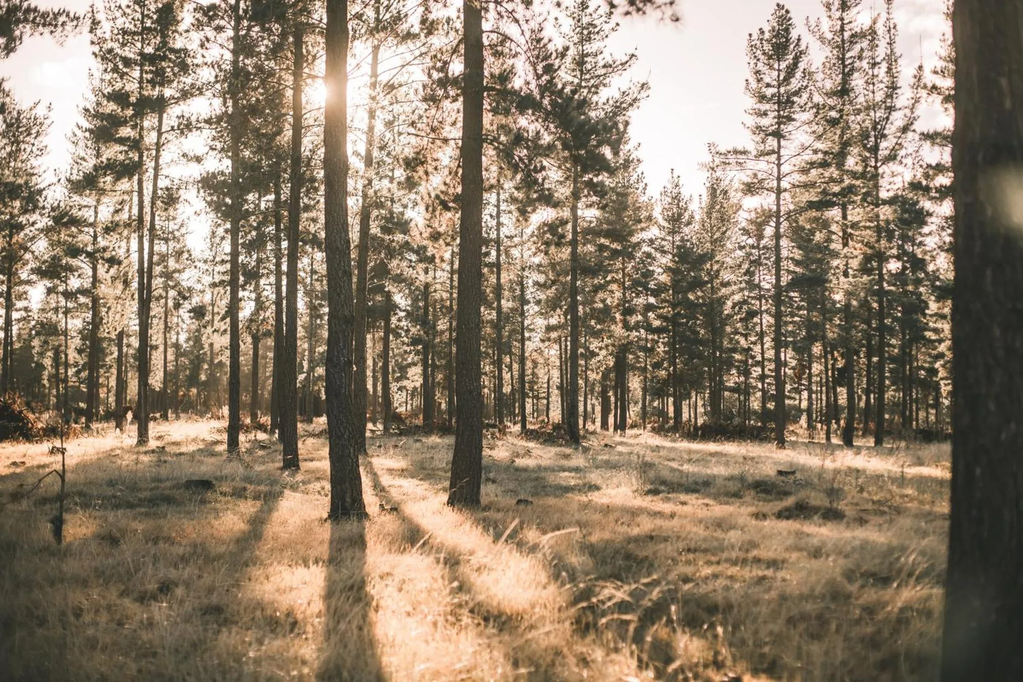 Winter in Bella Manga Country Escape