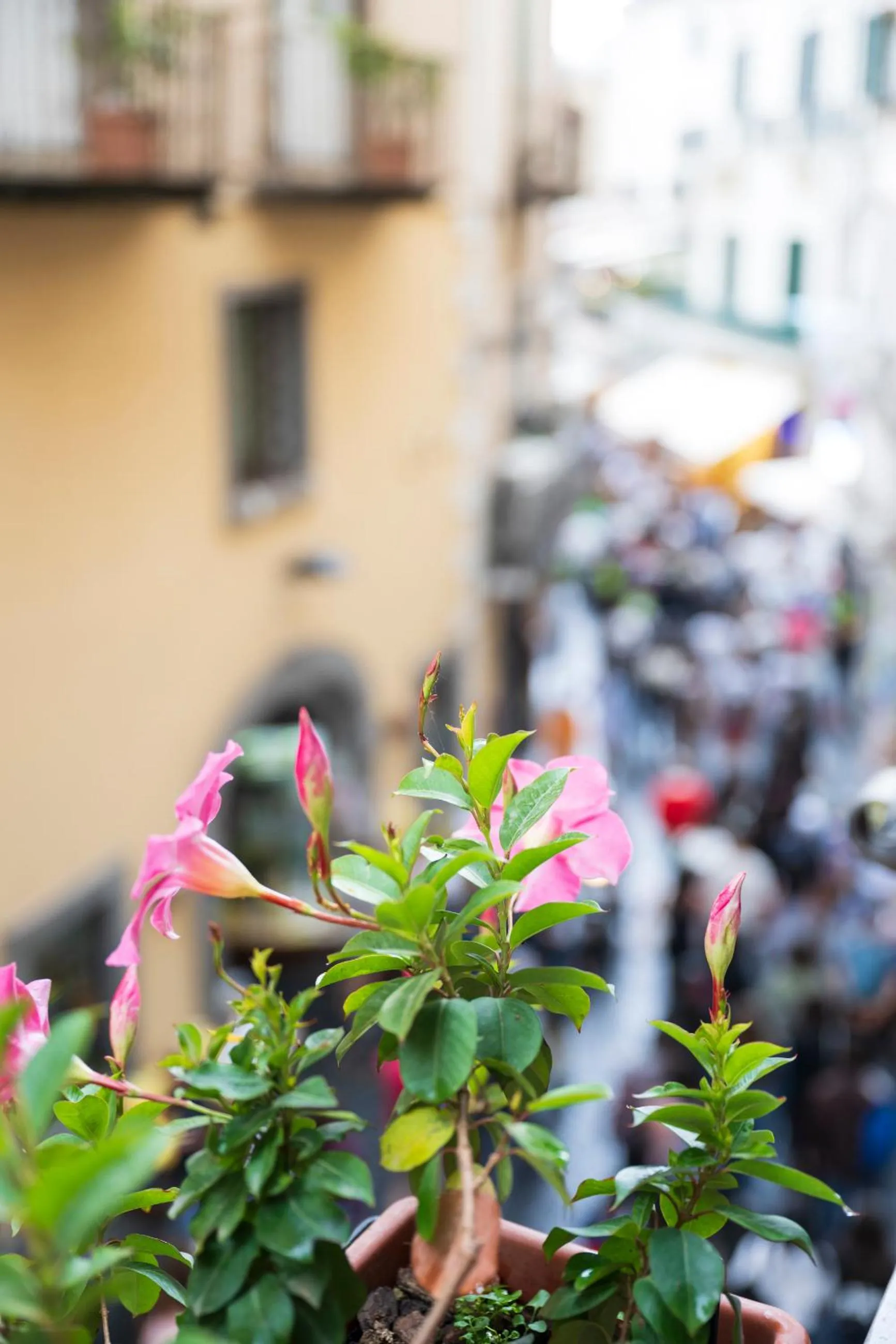 Property building in Hotel Antica Repubblica in Amalfi center at 100mt from the sea