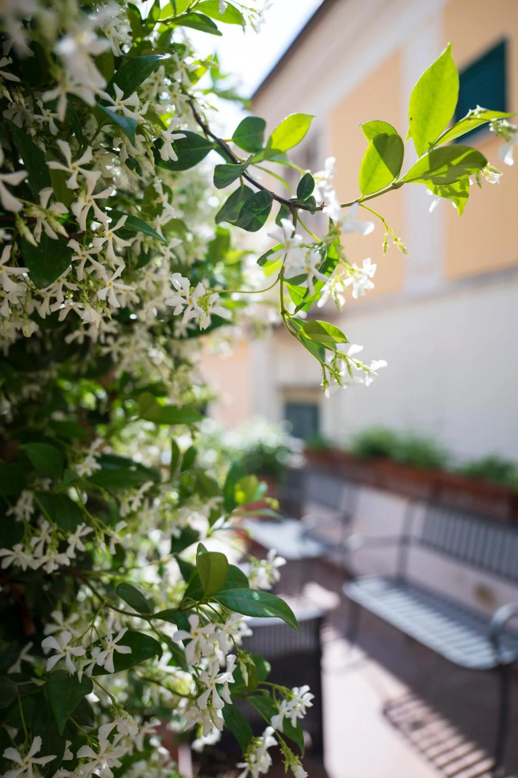 Balcony/Terrace in Hotel Antica Repubblica in Amalfi center at 100mt from the sea