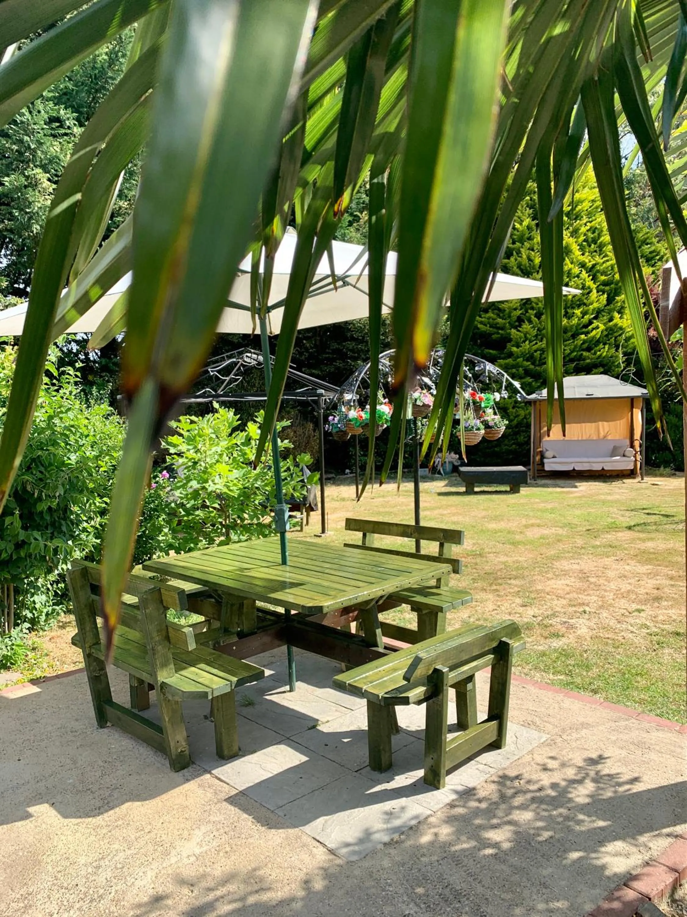 Garden in Woodpaddock Bed & Breakfast