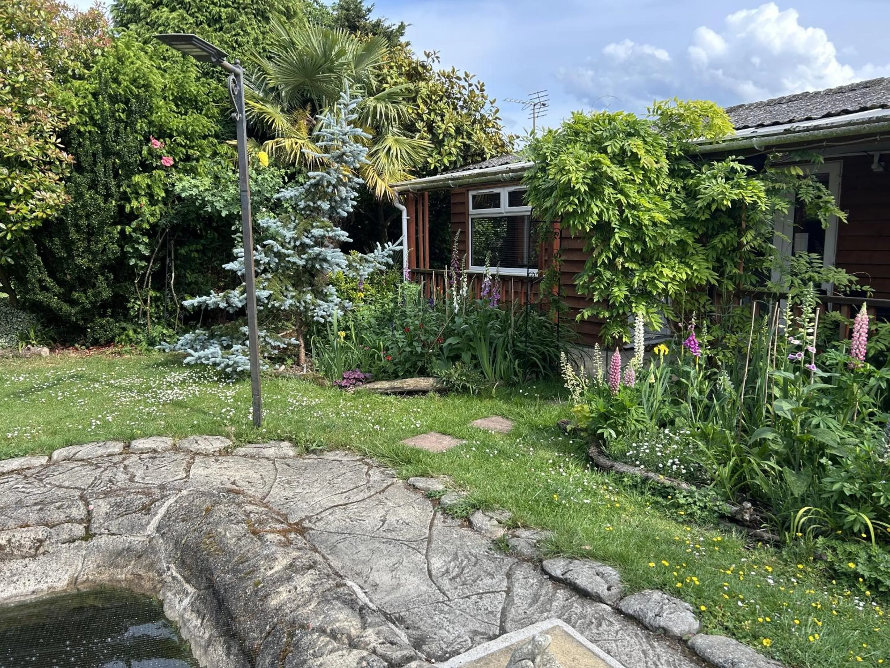 Garden in Woodpaddock Bed & Breakfast