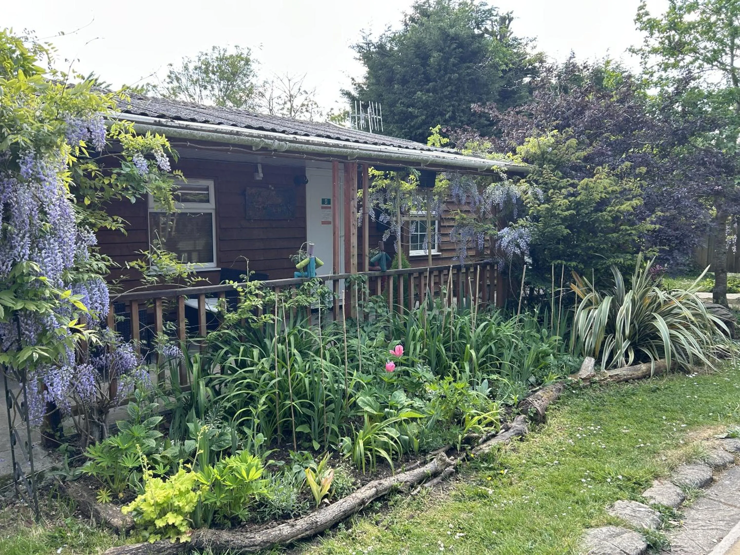 Garden in Woodpaddock Bed & Breakfast