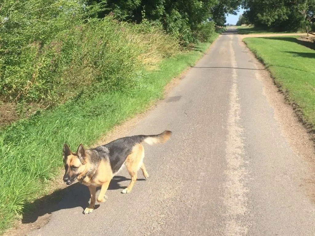 Activities in Woodpaddock Bed & Breakfast