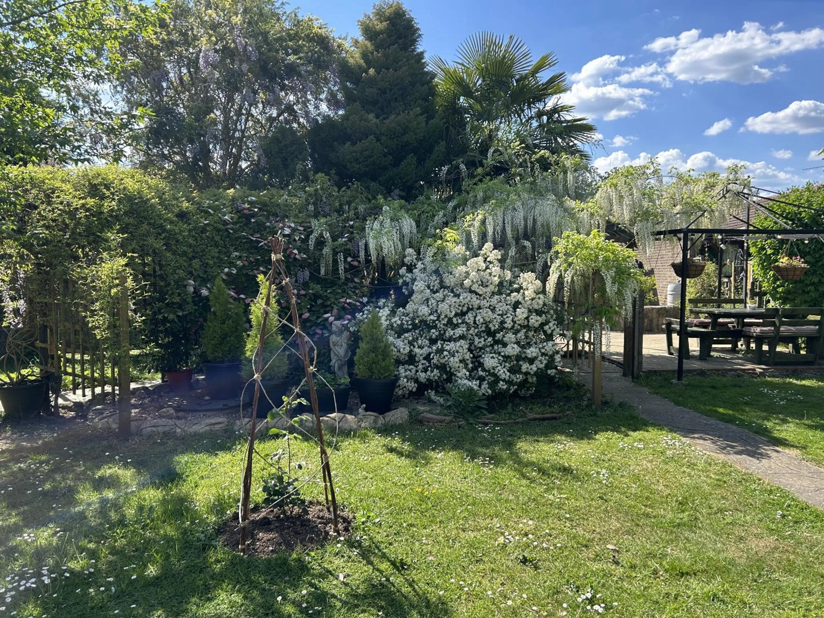 Garden in Woodpaddock Bed & Breakfast