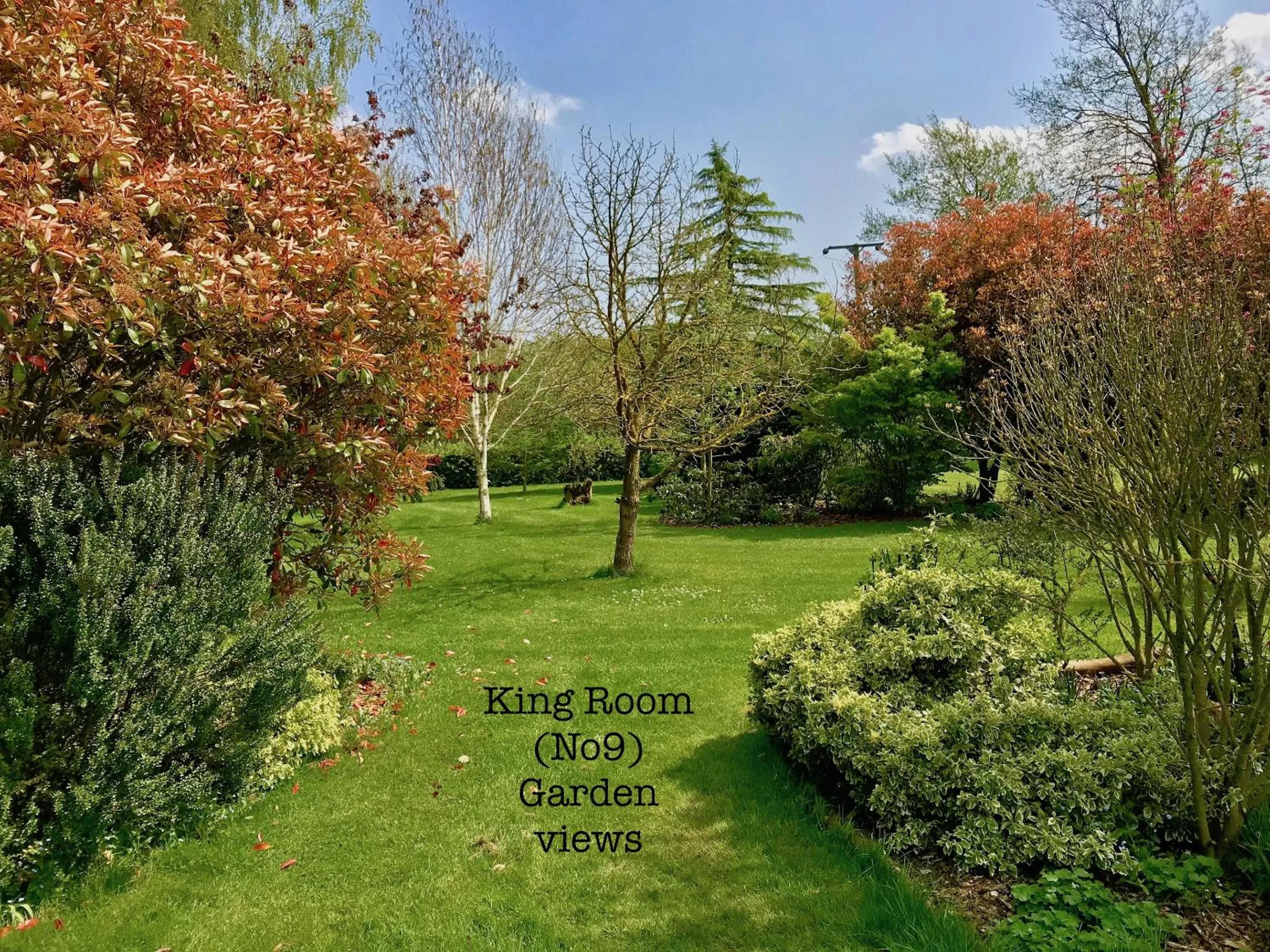 Garden in Woodpaddock Bed & Breakfast