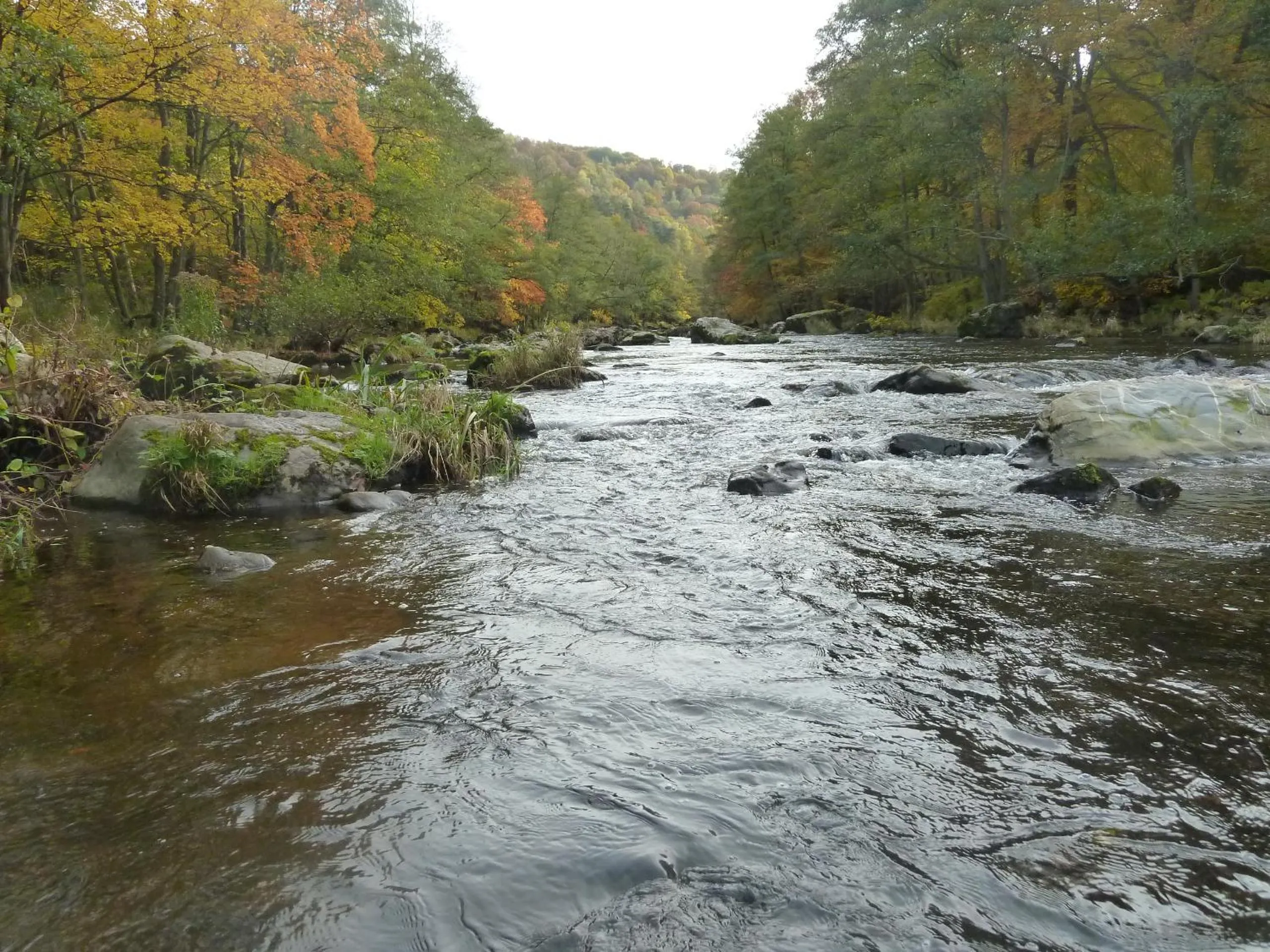 Fishing in La Couette de l'Ours