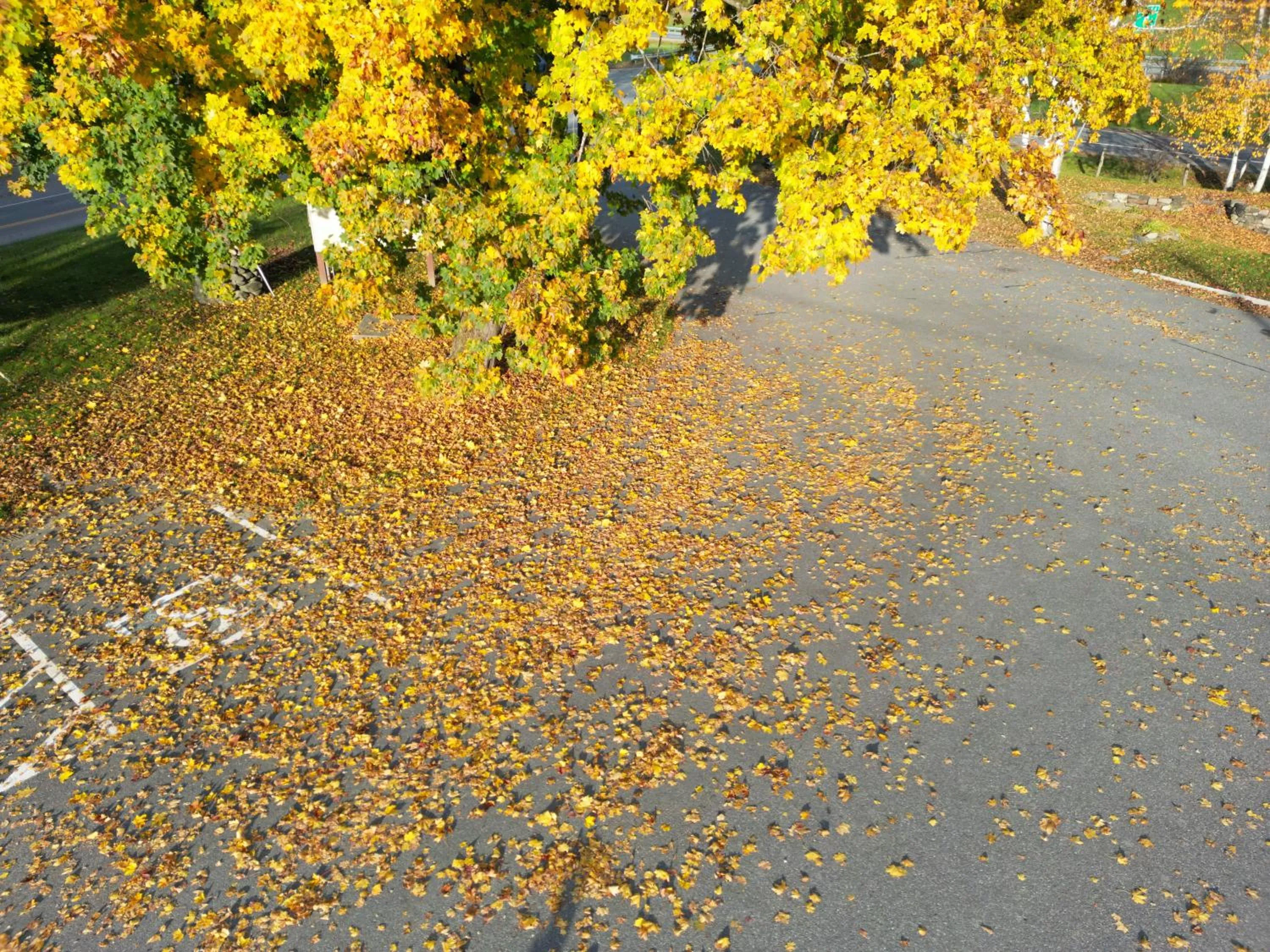 Parking in The Putney Inn