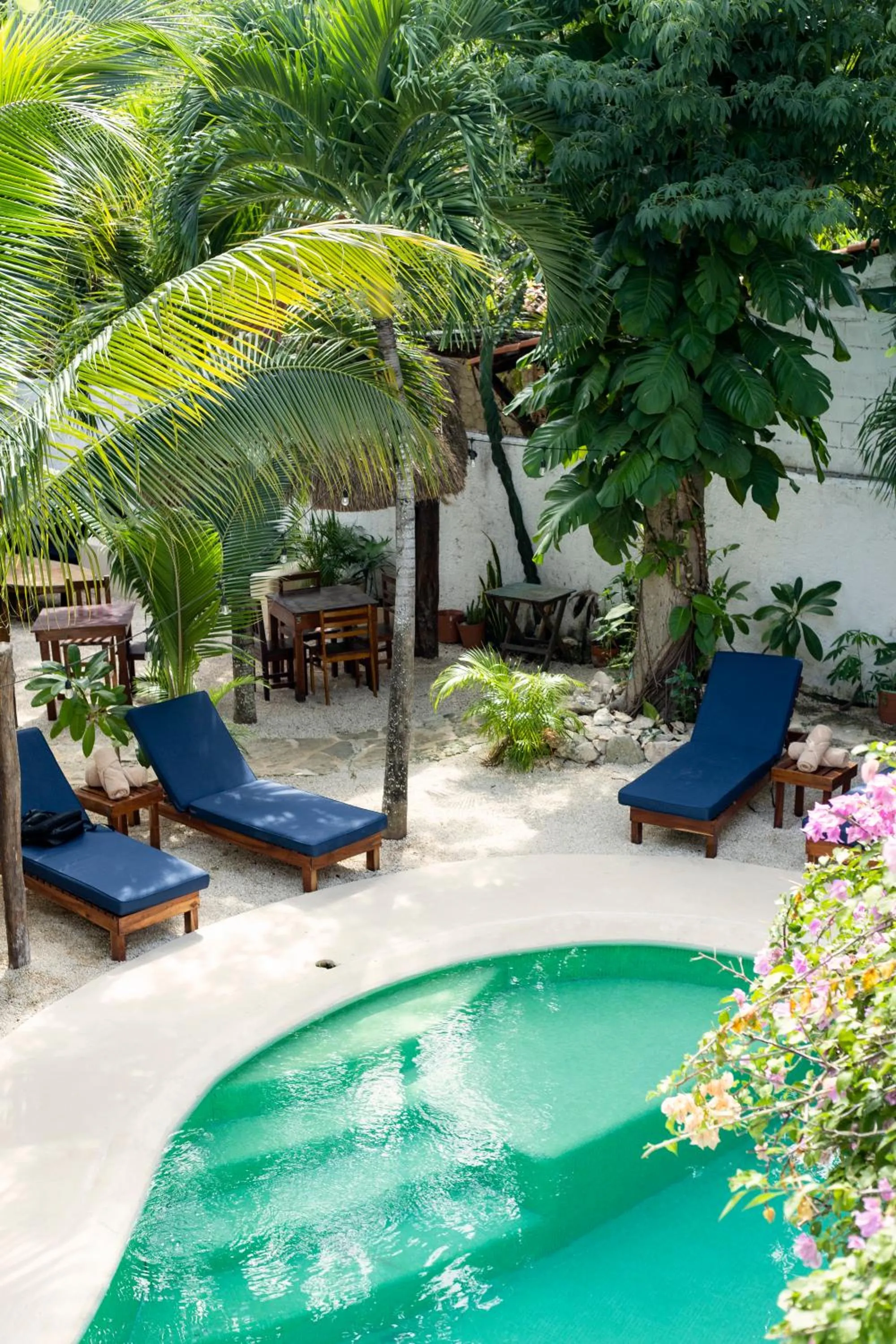 Garden in Sonido del mar Hotel Boutique & Yoga Loft