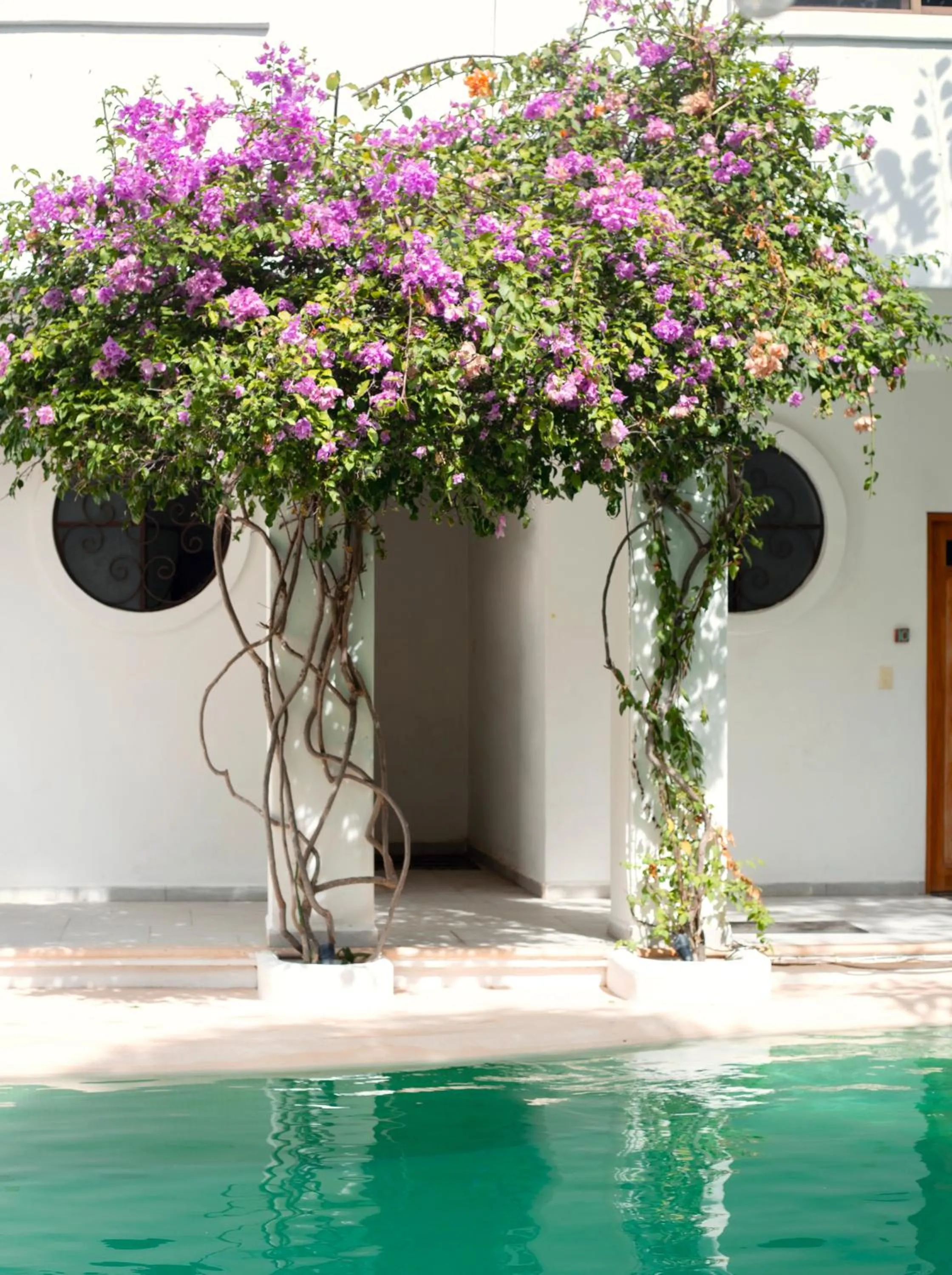 Garden view in Sonido del mar Hotel Boutique & Yoga Loft