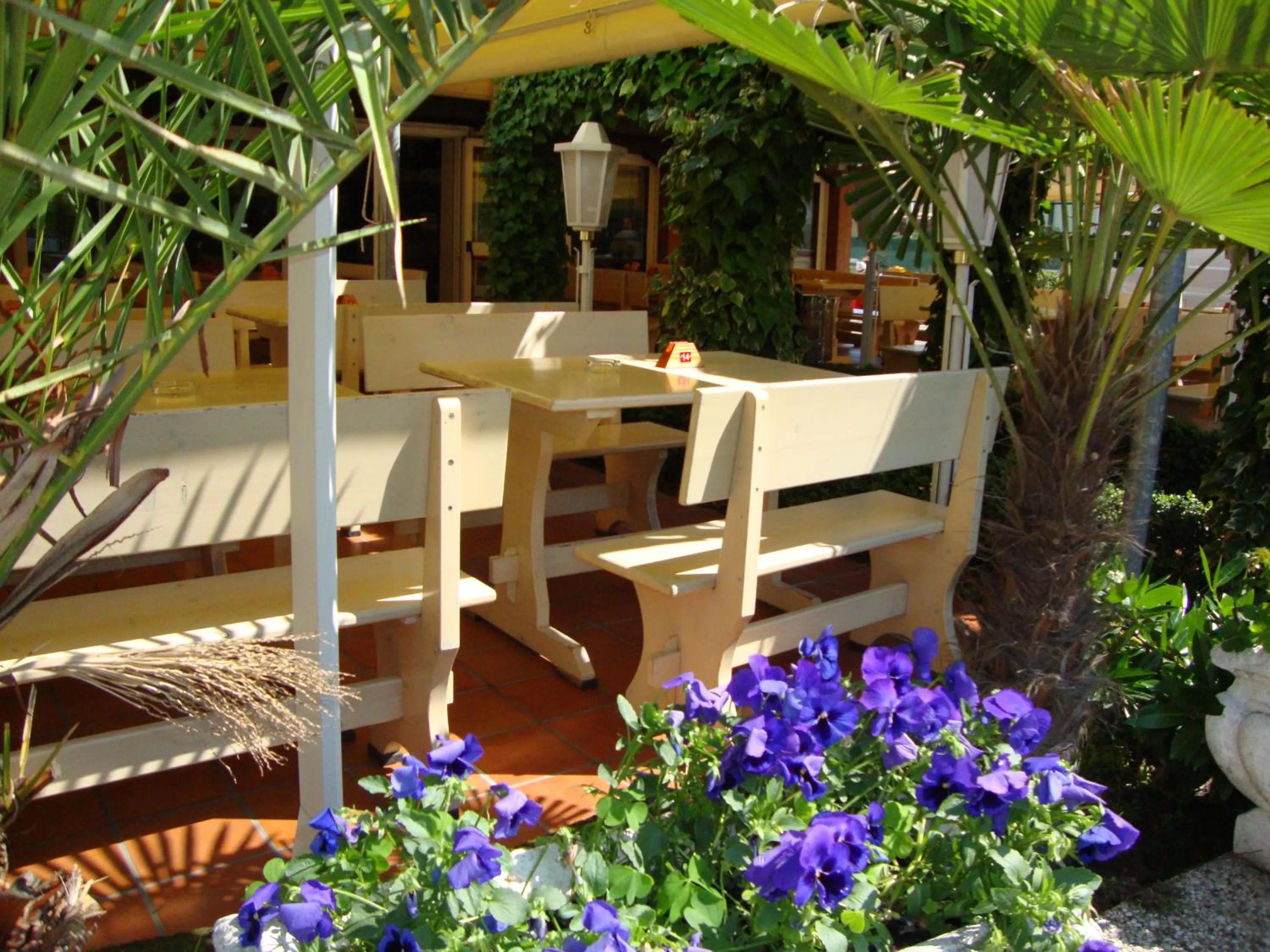 Balcony/Terrace in Hotel Villa Ginevra