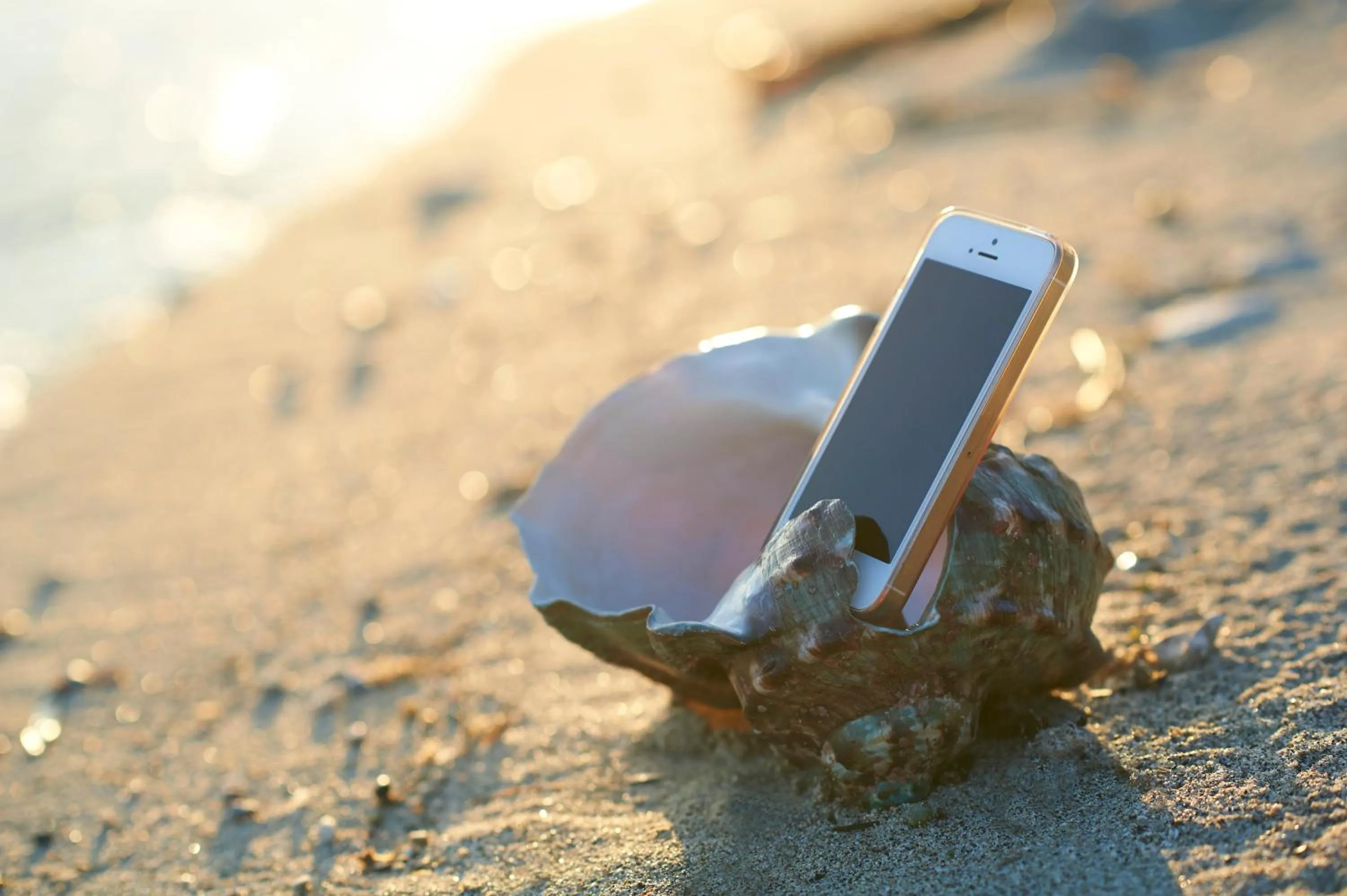 Day in Hotel The Scene