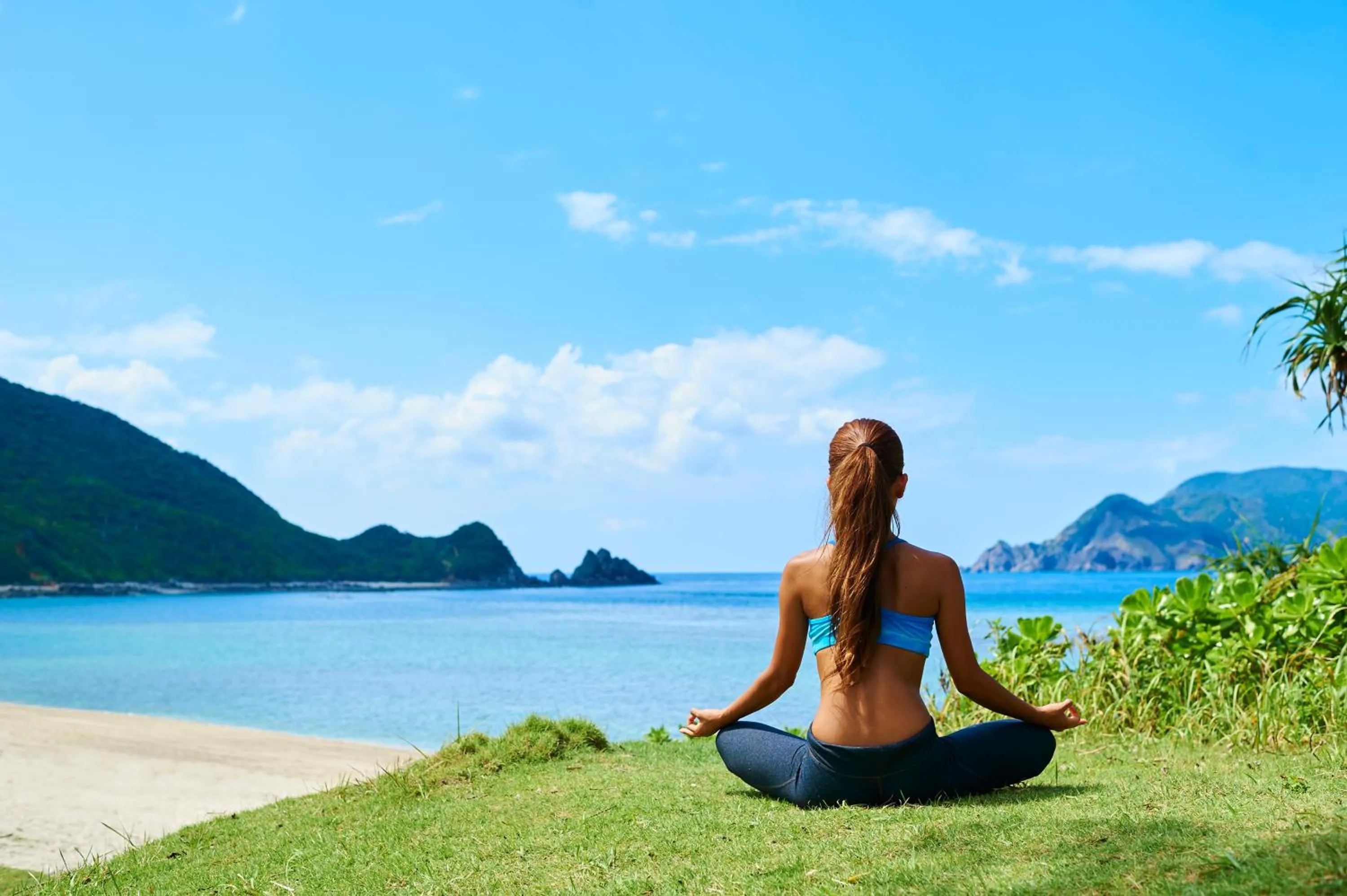 Day in Hotel The Scene