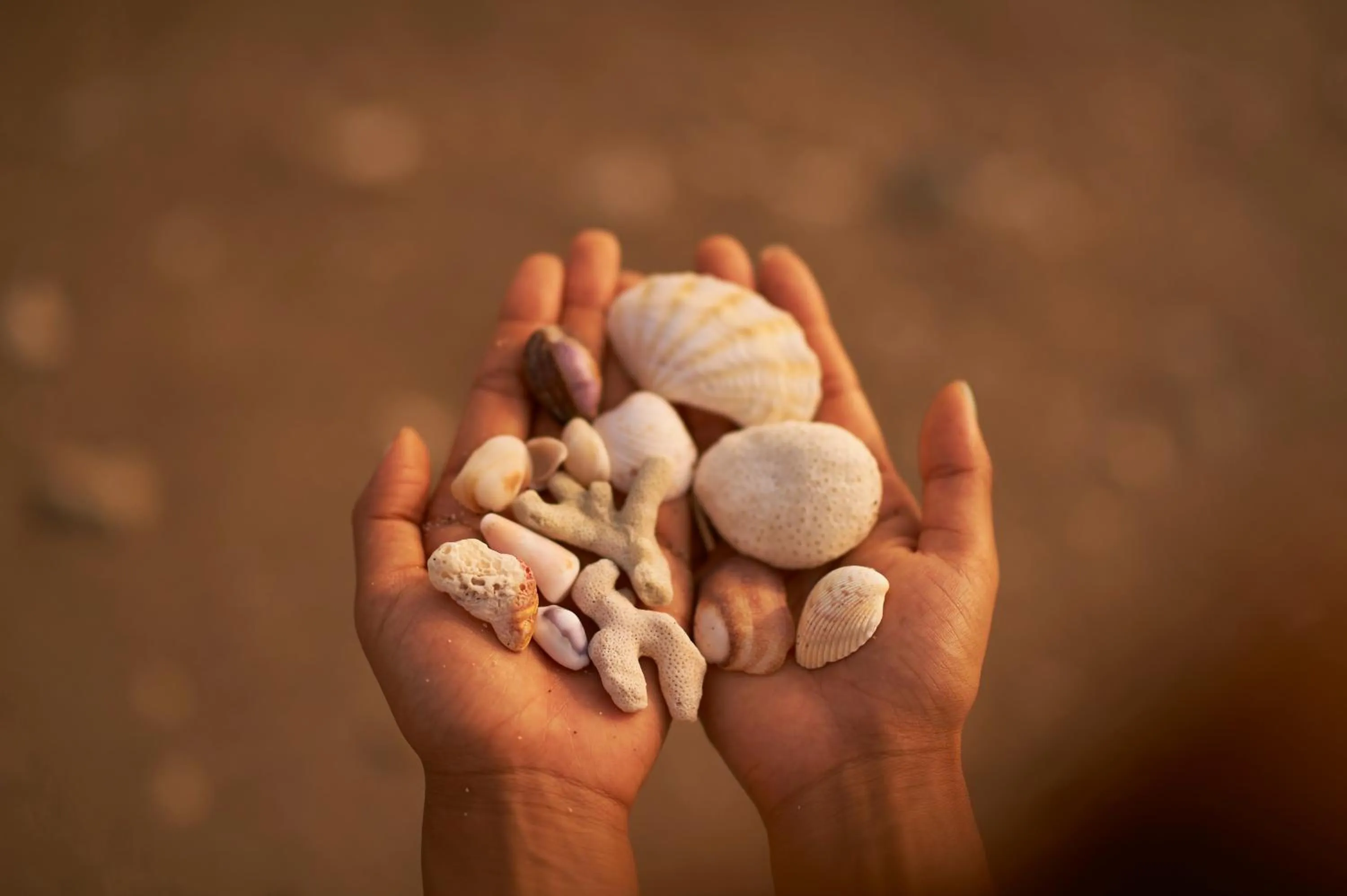 Other in Hotel The Scene