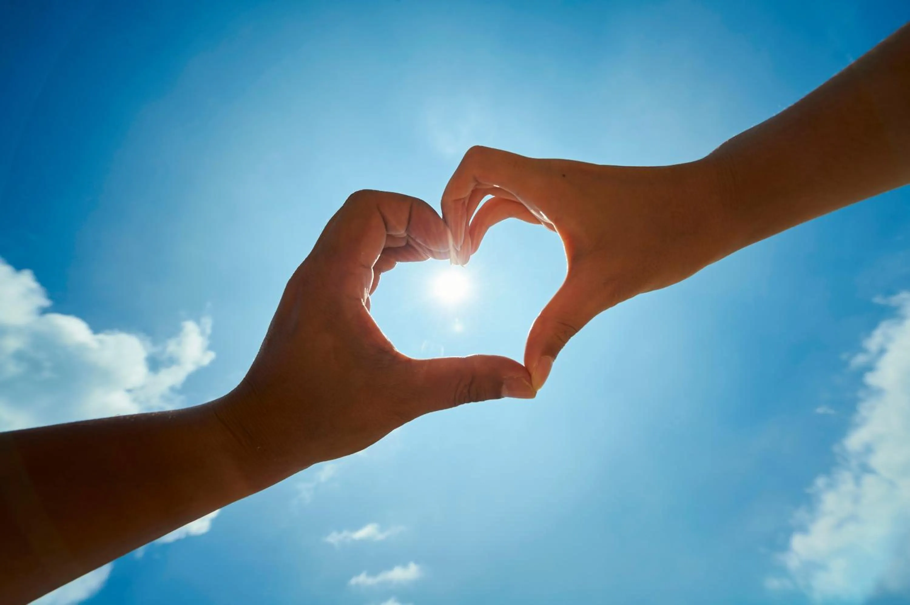 Day in Hotel The Scene