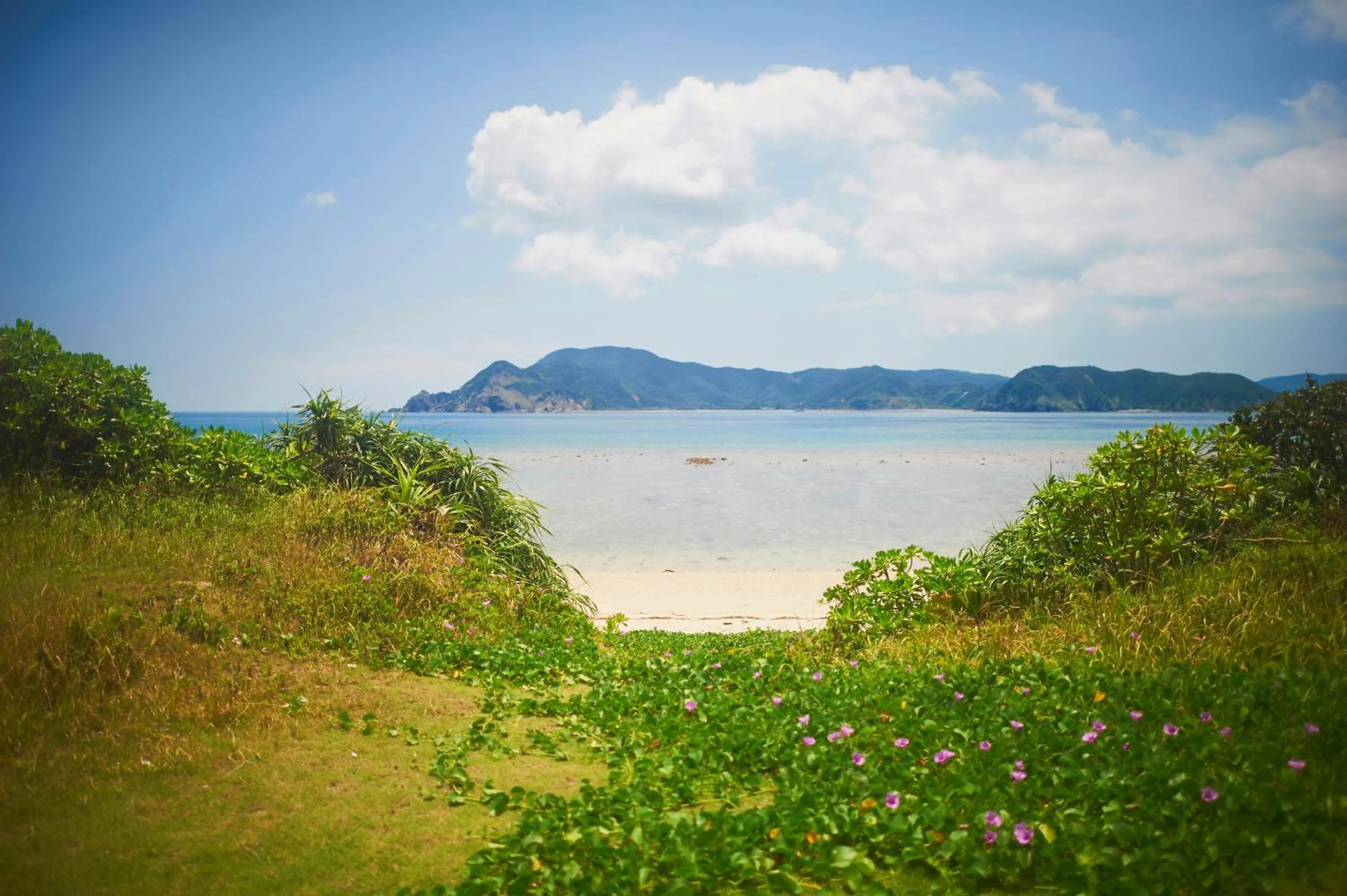 Day in Hotel The Scene