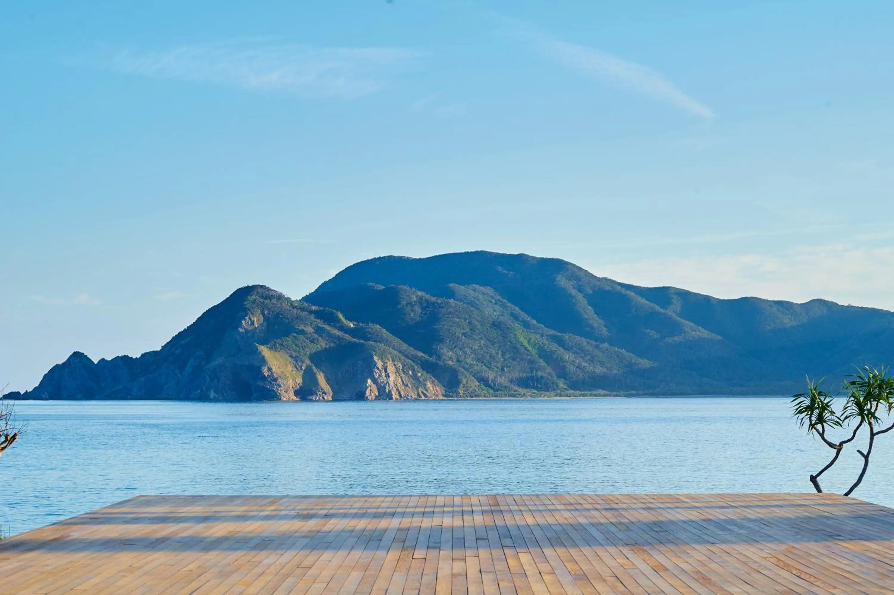 Day in Hotel The Scene