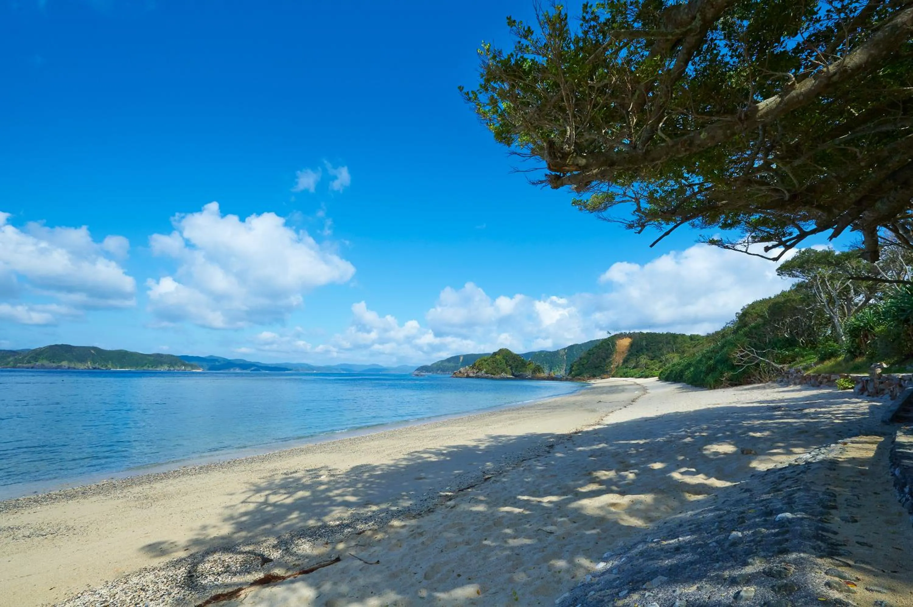 Beach in Hotel The Scene