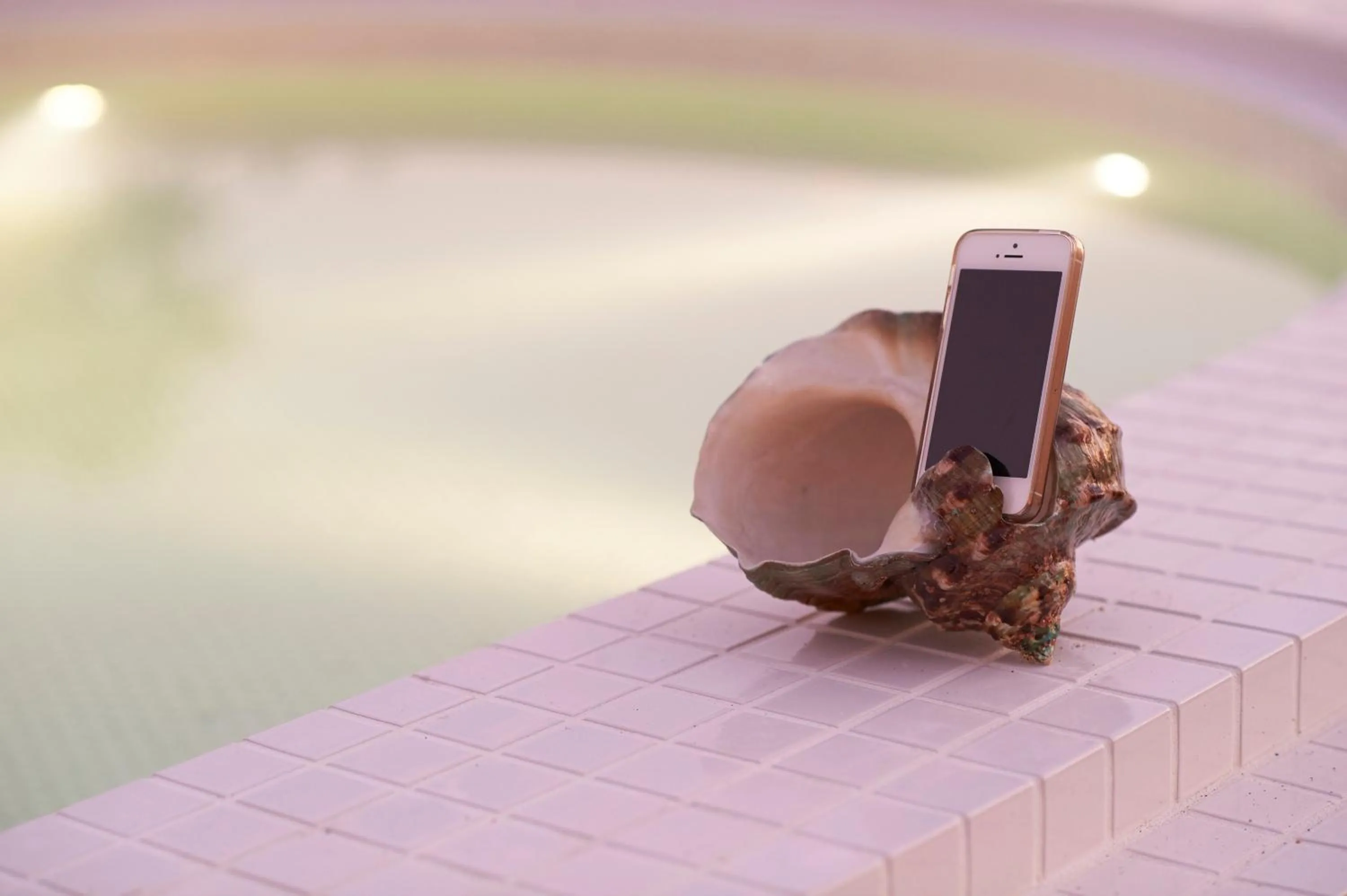 Other in Hotel The Scene