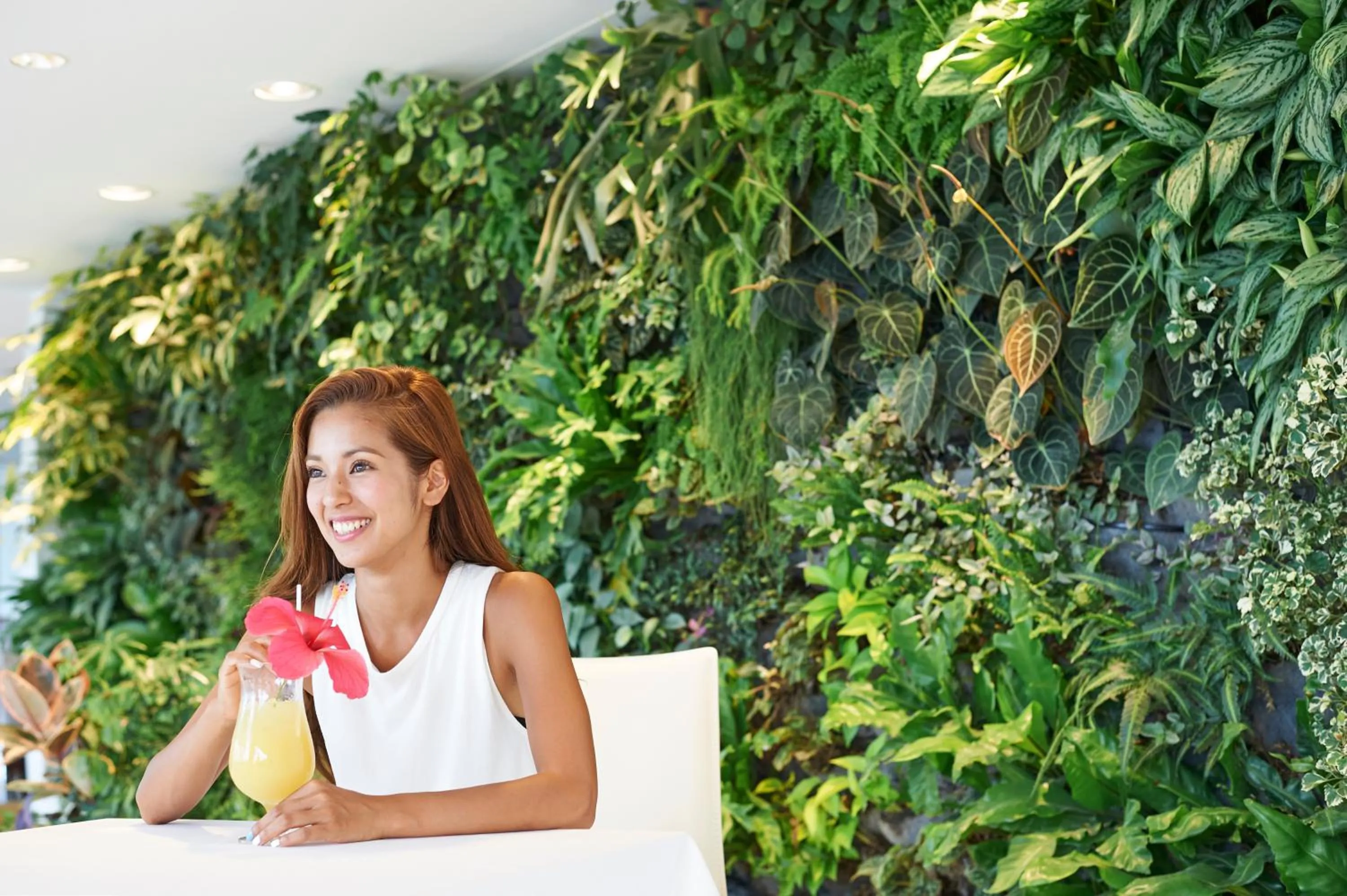 Day in Hotel The Scene