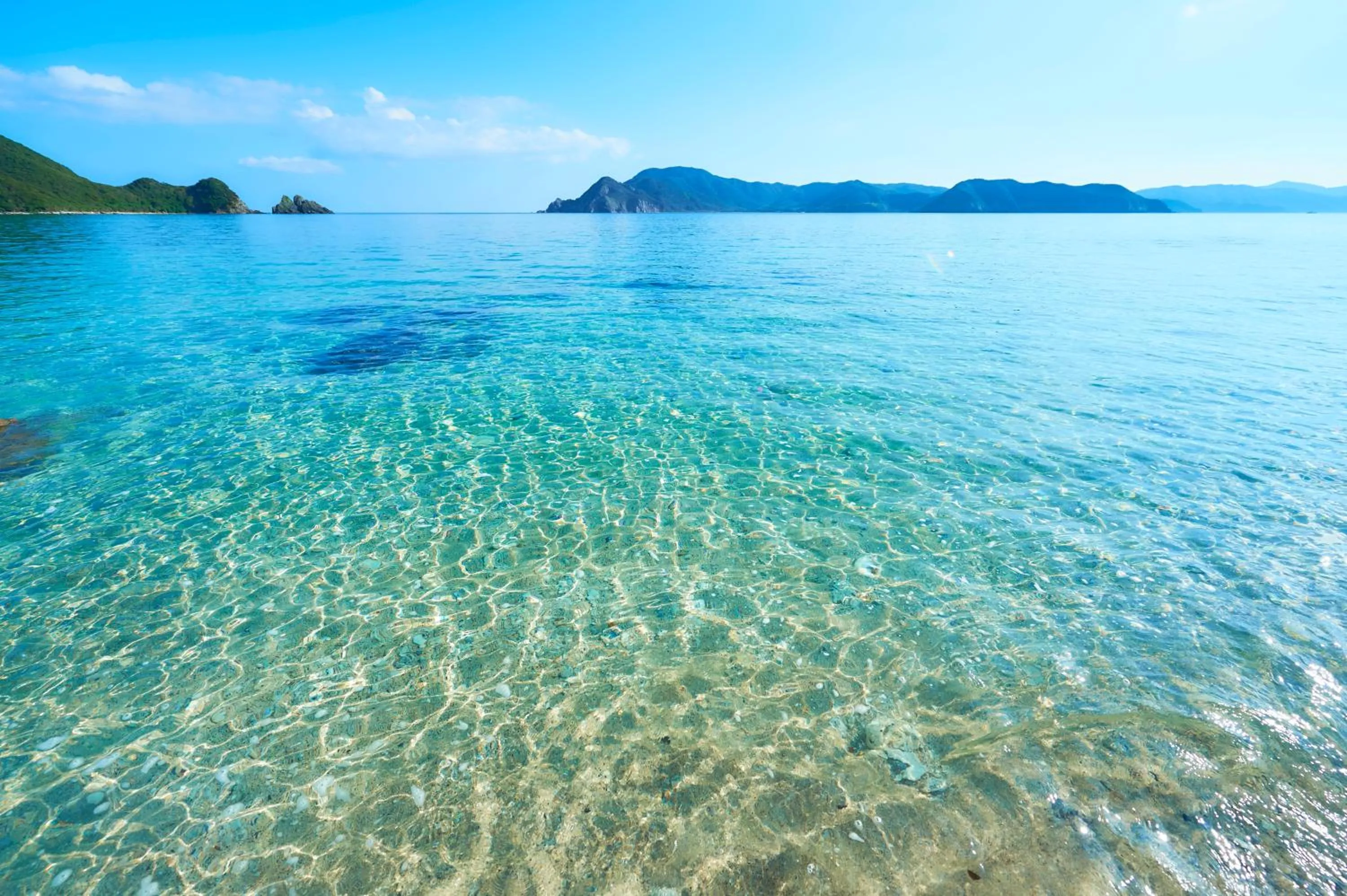 Day in Hotel The Scene