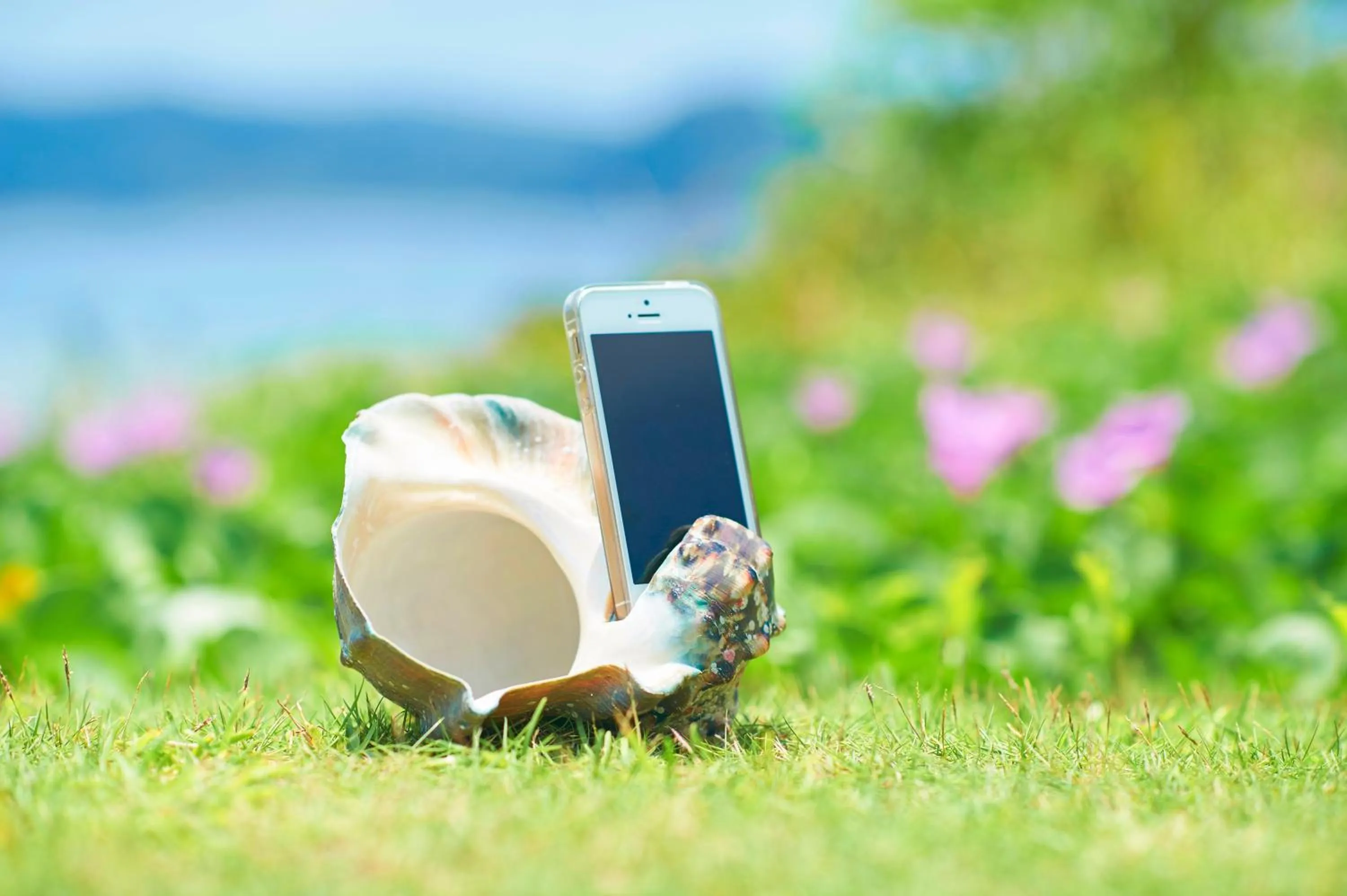 Day in Hotel The Scene