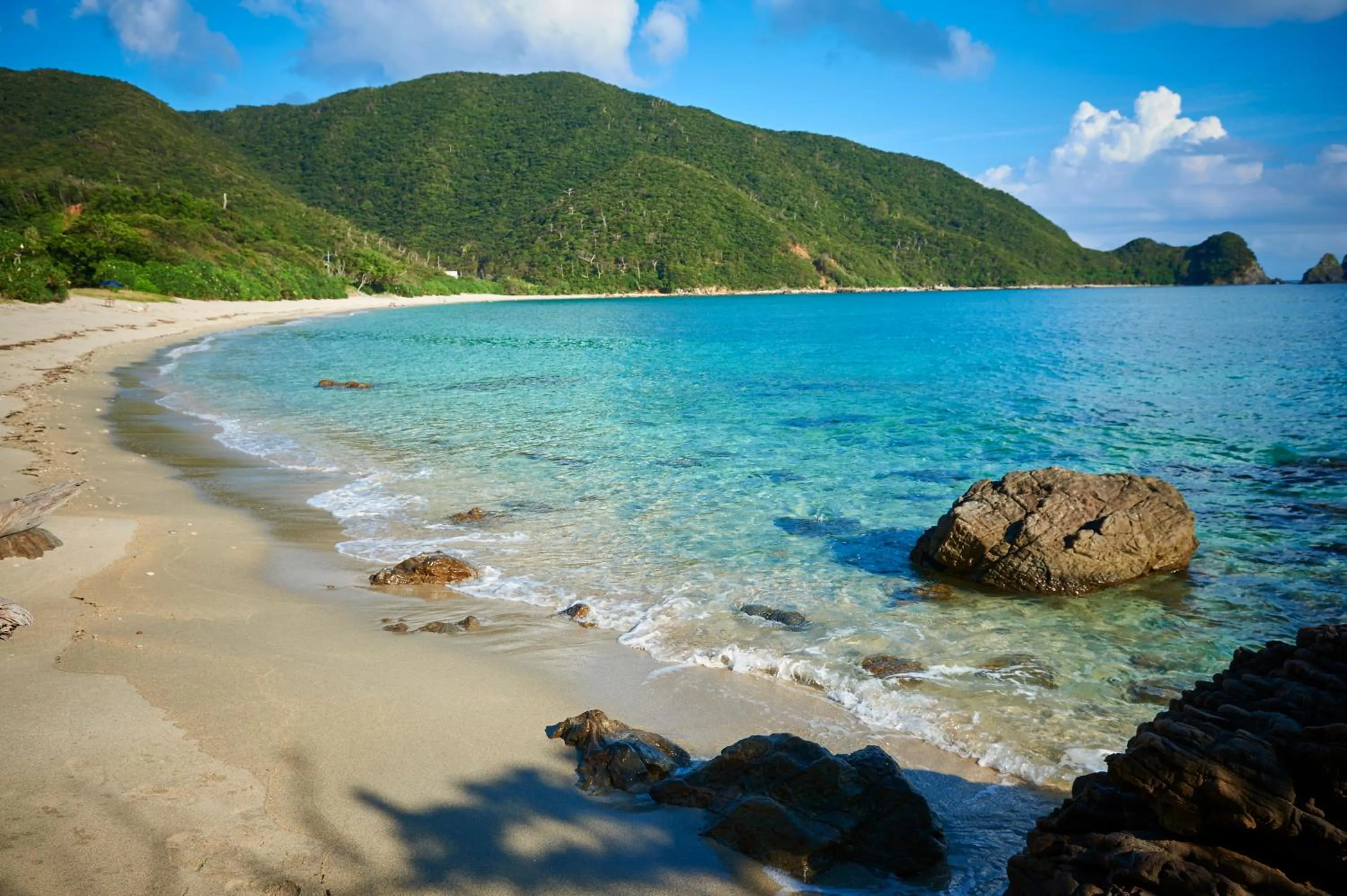 Day in Hotel The Scene