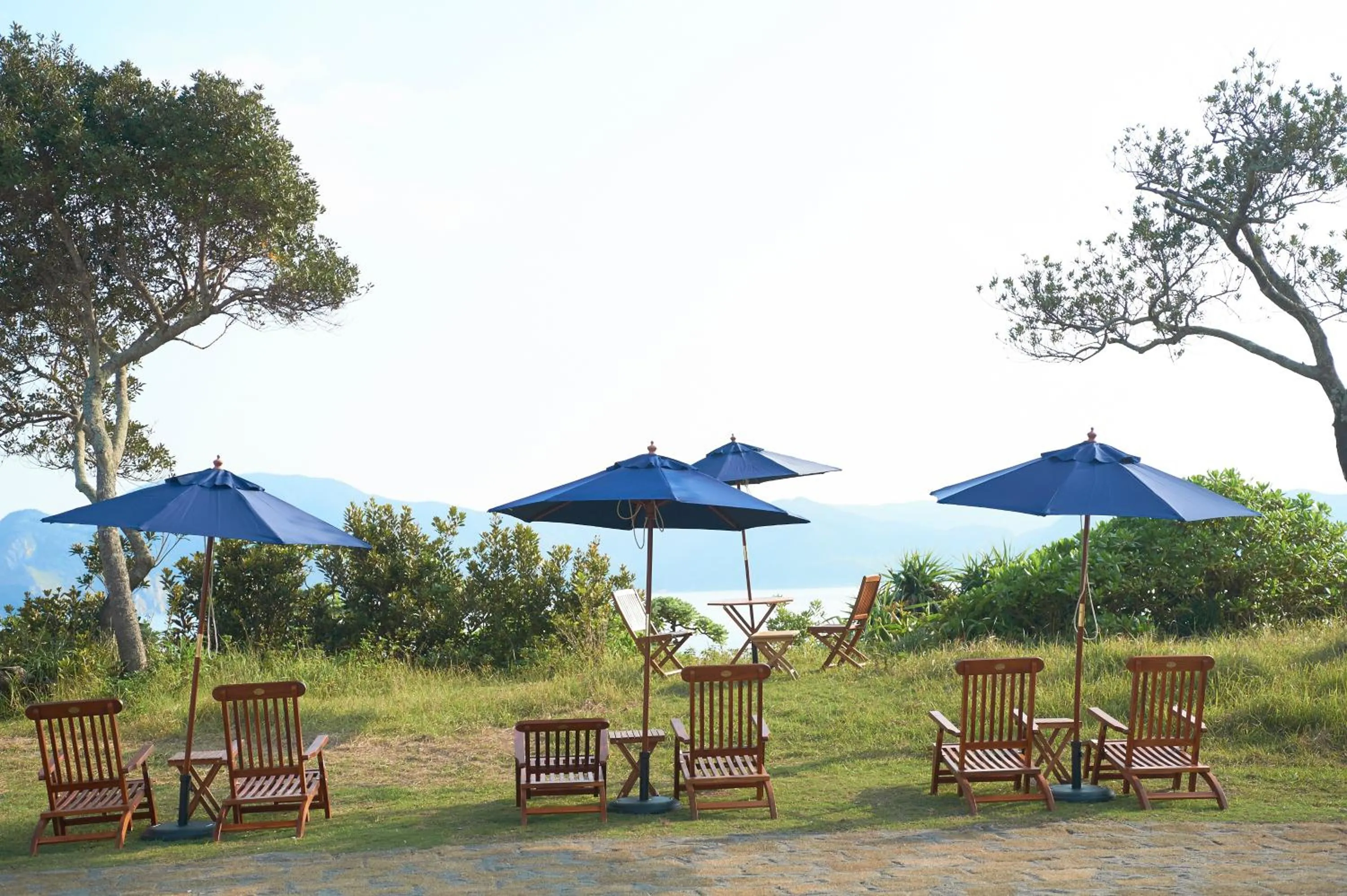 Day in Hotel The Scene