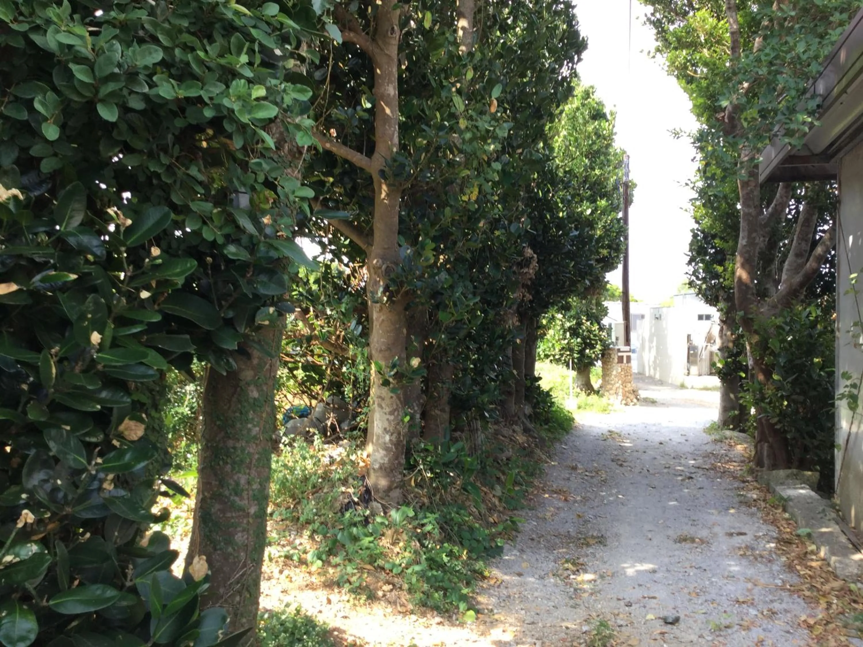 Facade/entrance in Sesoko Island Guest House Kafuu Village
