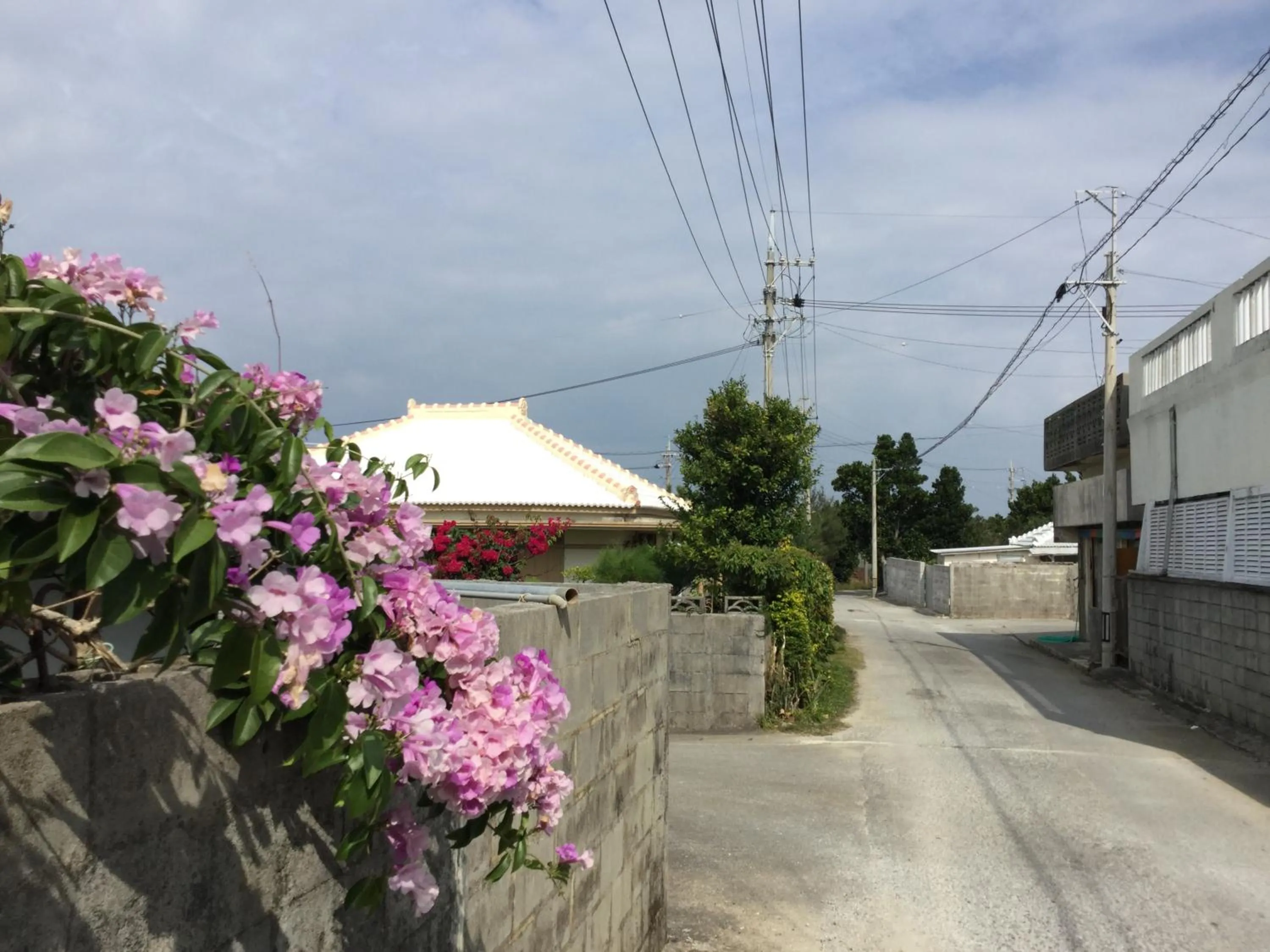 Other in Sesoko Island Guest House Kafuu Village