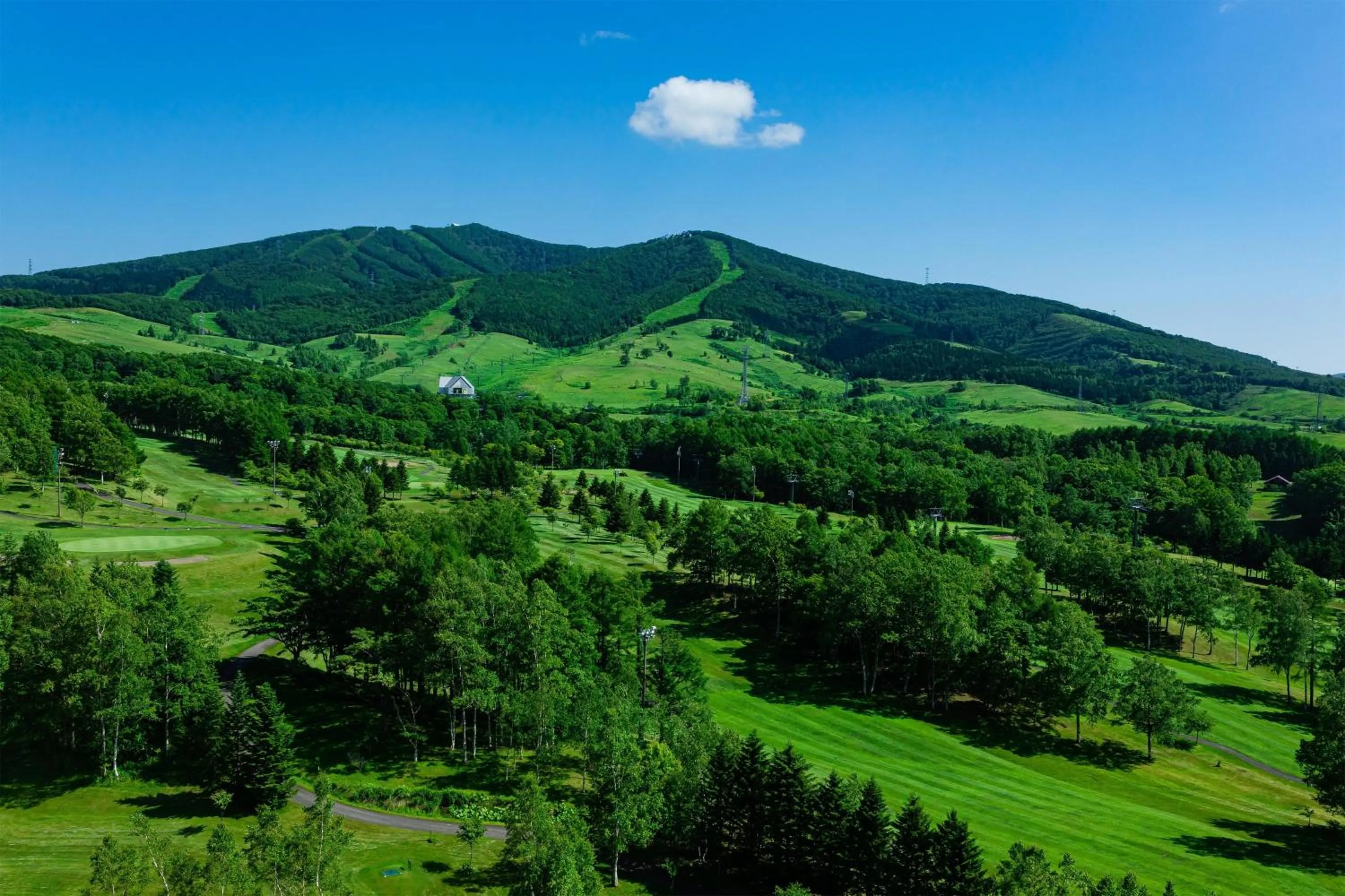Photo of the whole room in The Westin Rusutsu Resort