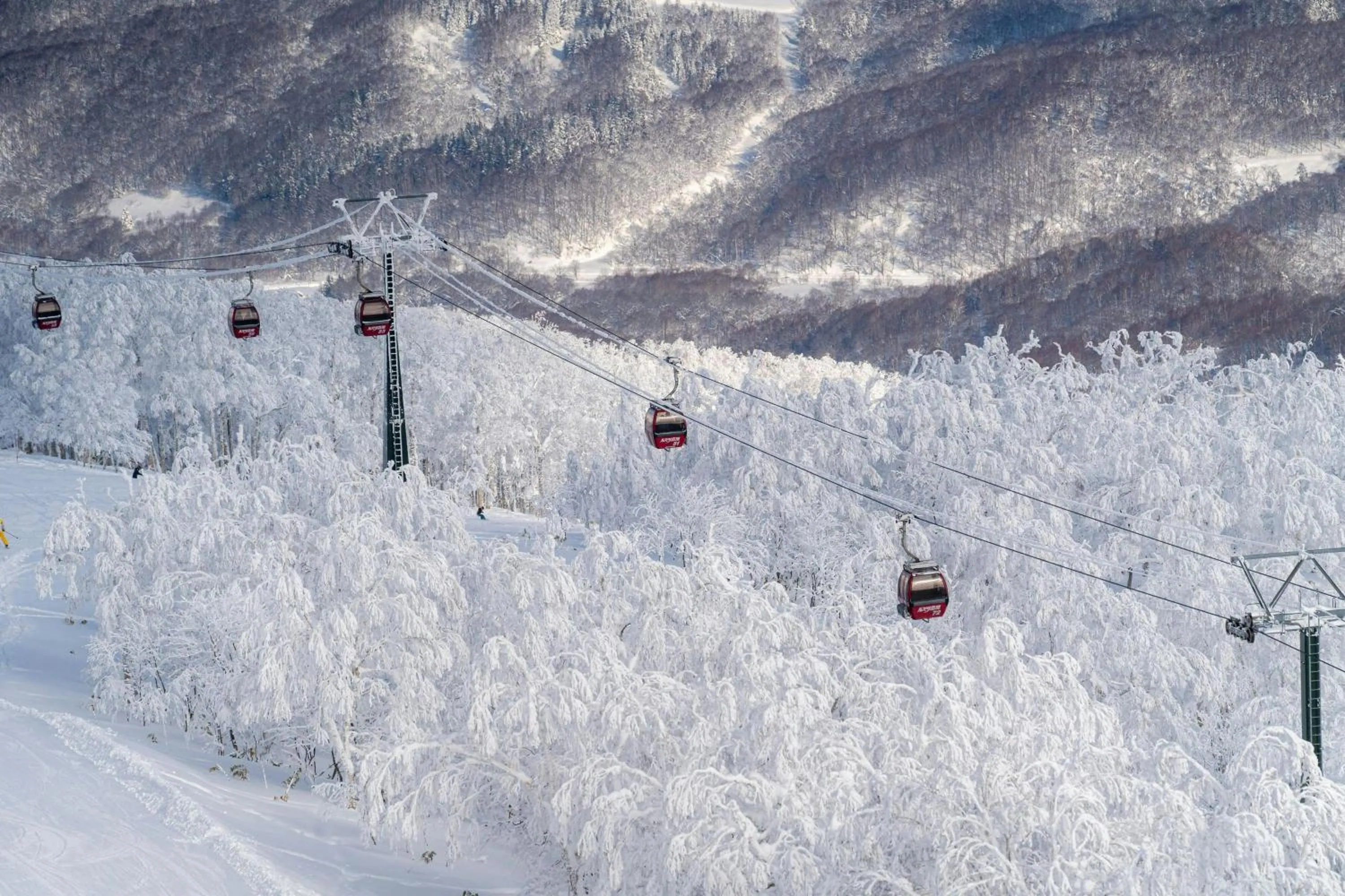 Other in The Westin Rusutsu Resort