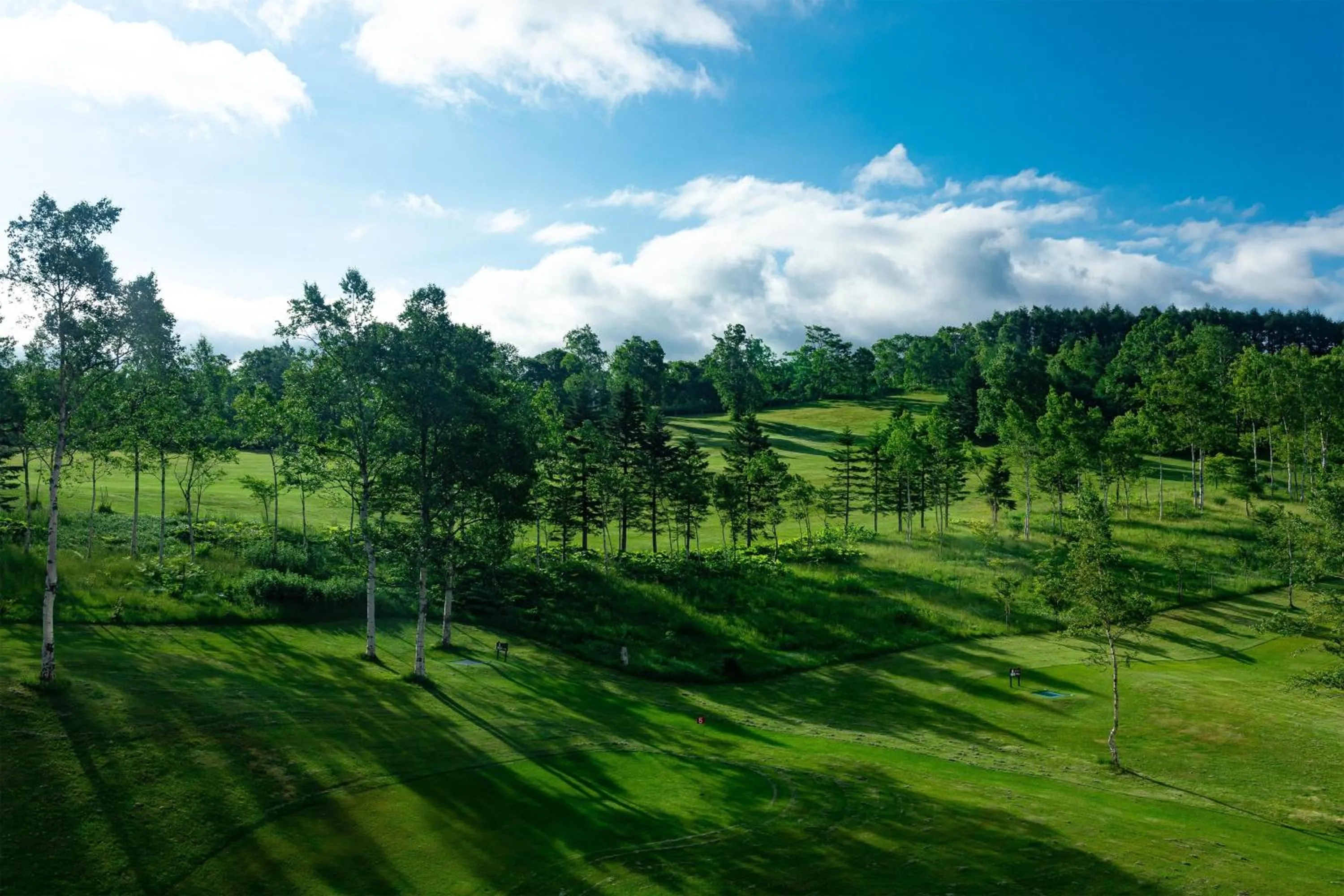 Photo of the whole room in The Westin Rusutsu Resort