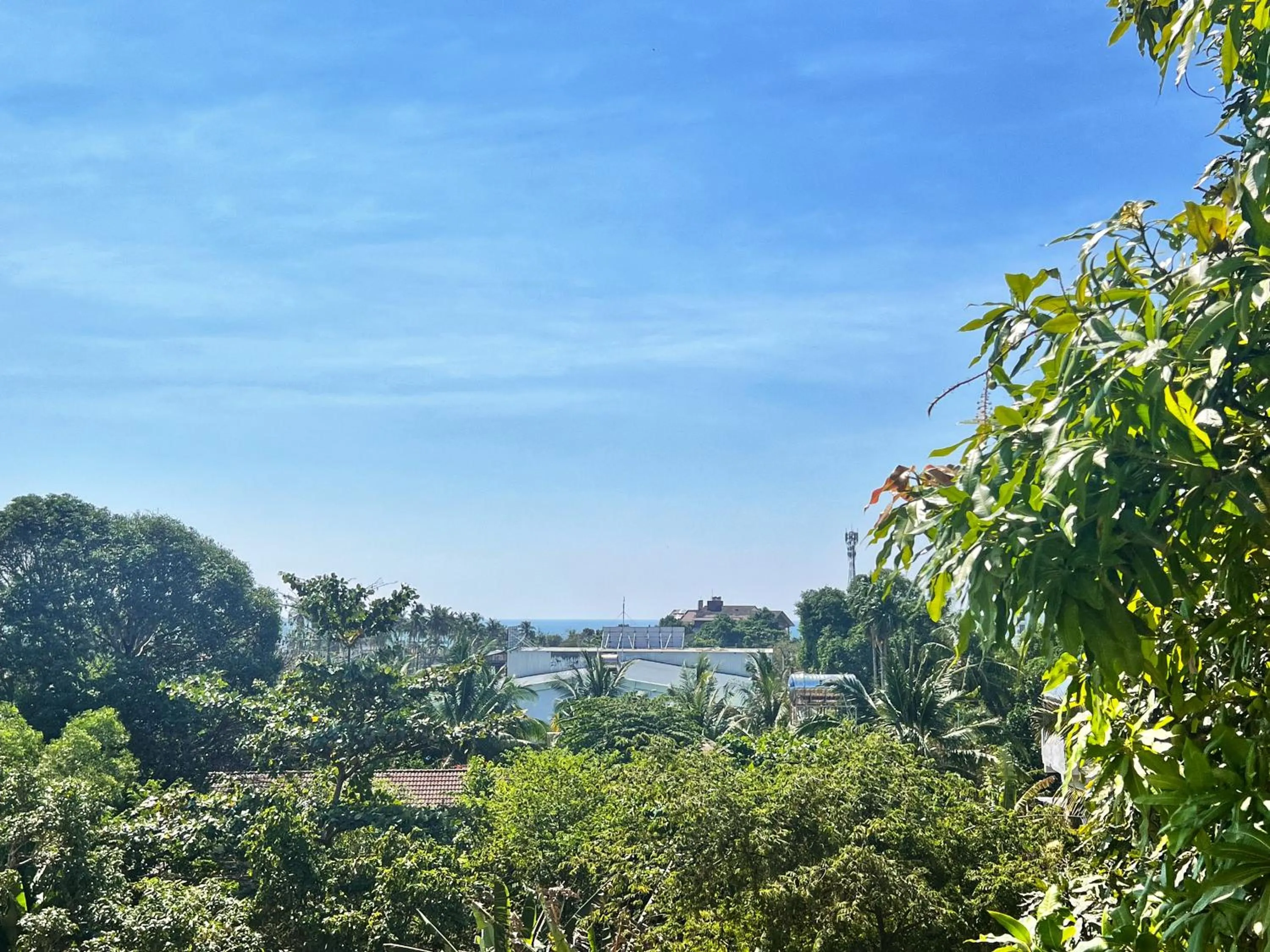 Natural landscape in Little Garden Bungalow