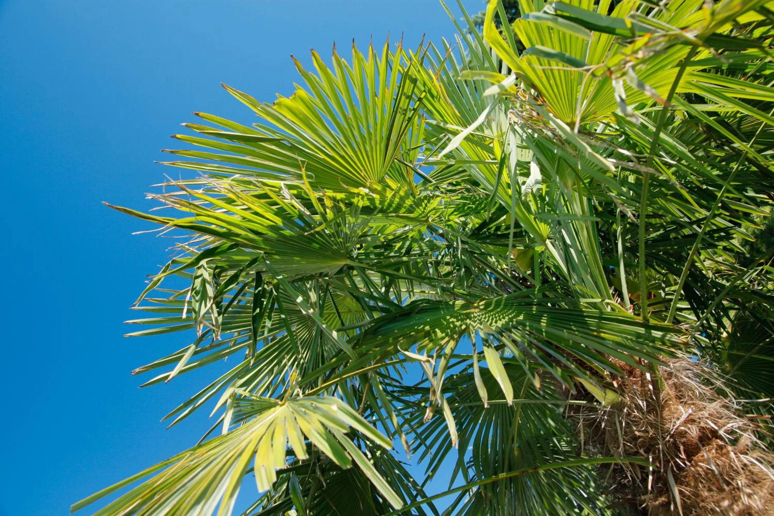 Facade/entrance in Hotel Jardis