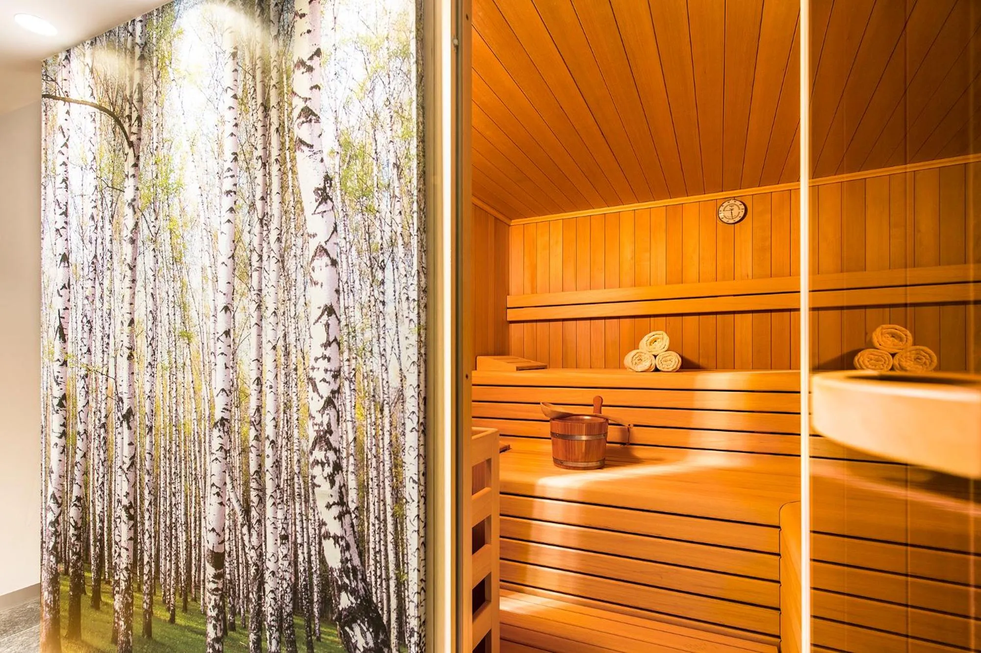 Activities in Hotel Jardis