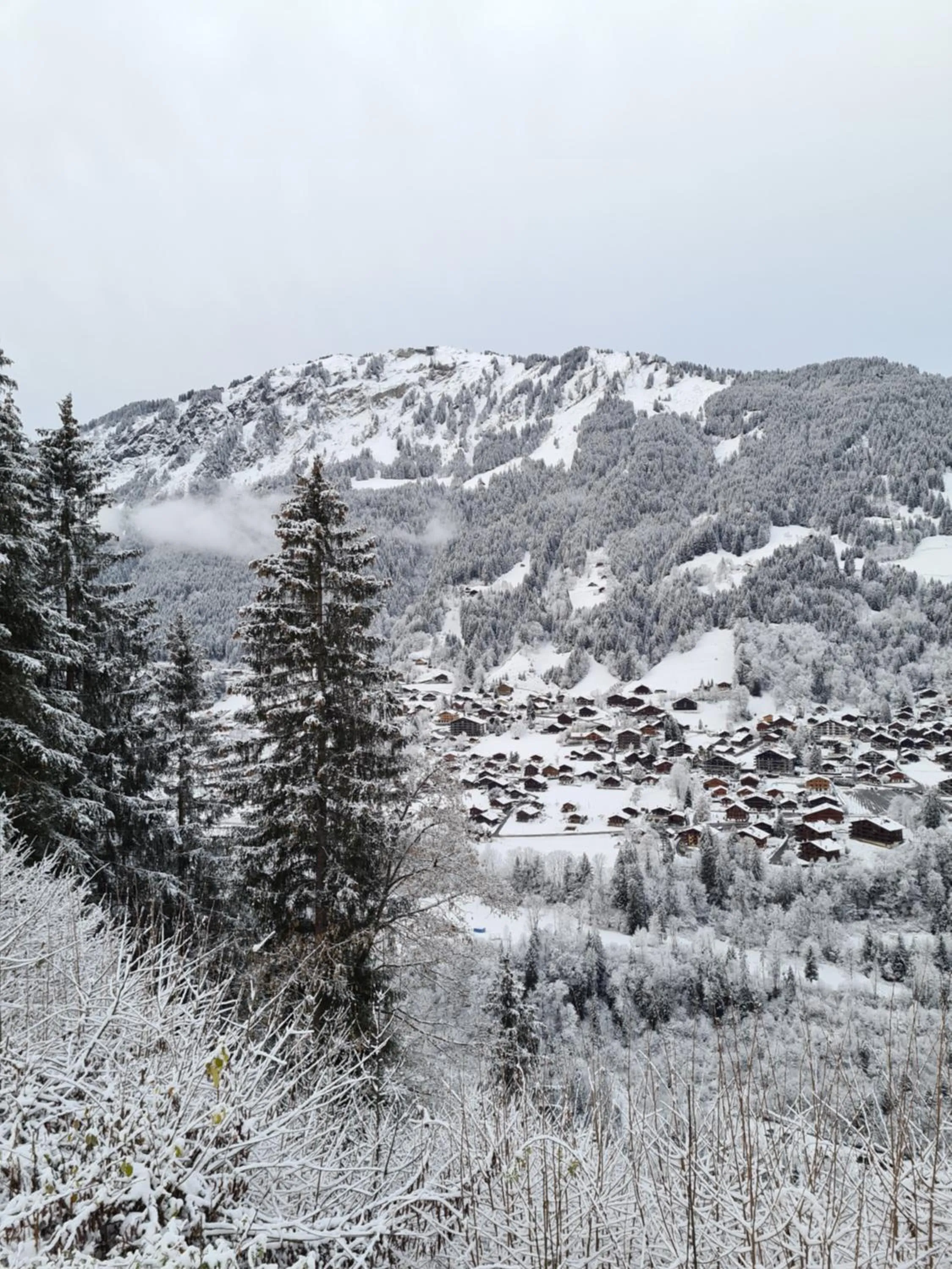 Natural landscape in Hôtel Le White - Le 42 Restaurant