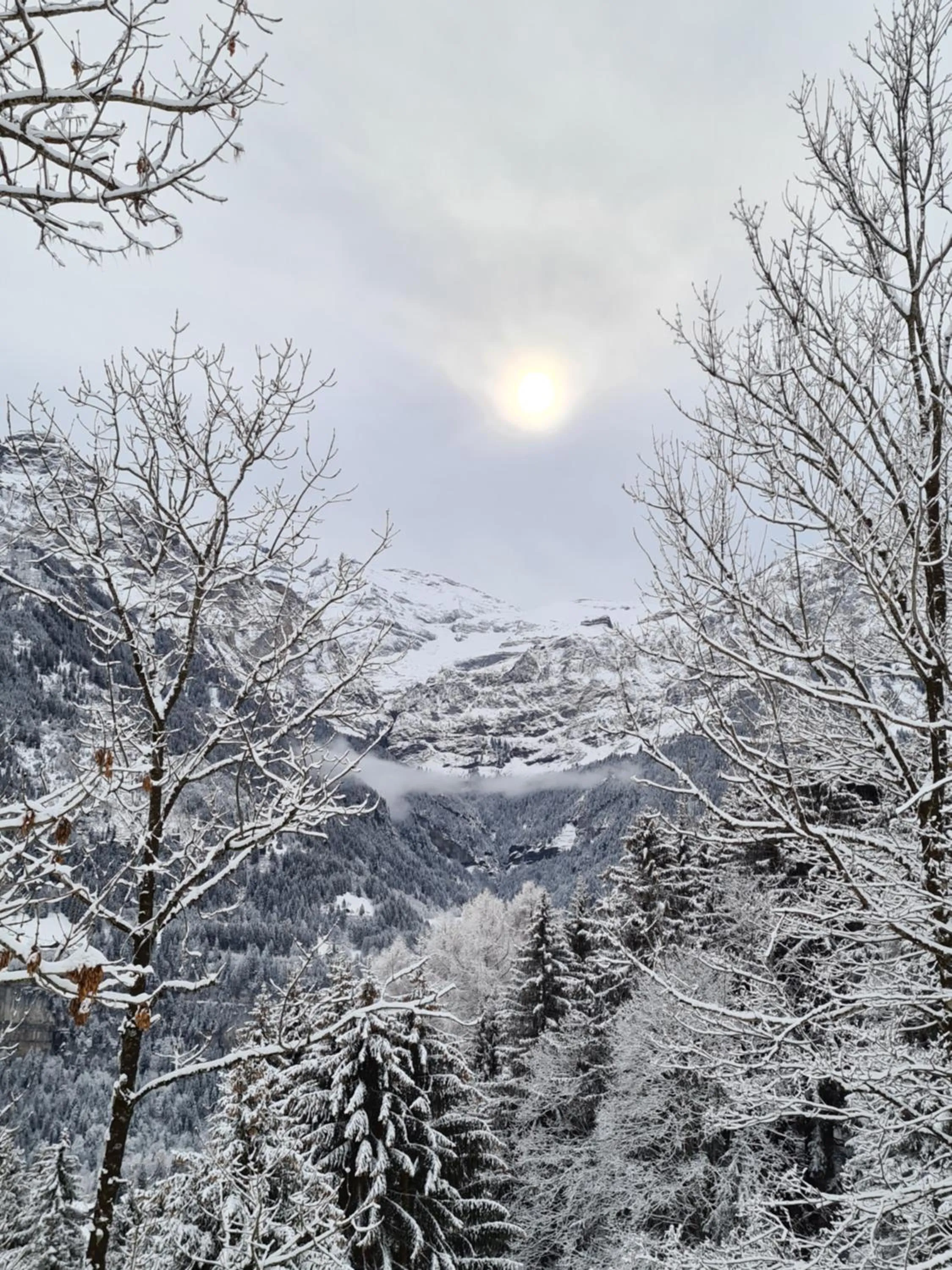 Natural landscape in Hôtel Le White - Le 42 Restaurant
