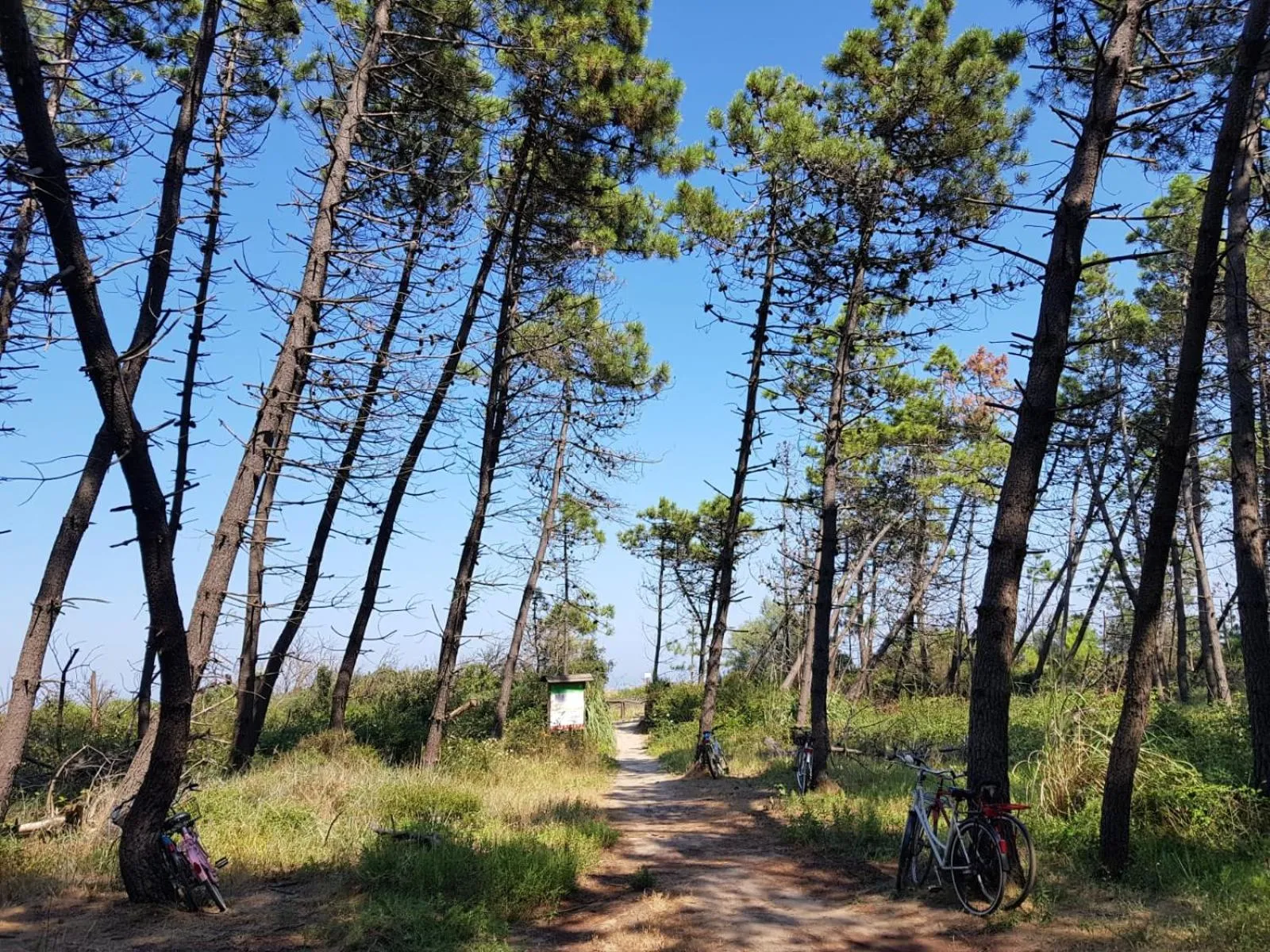 Natural landscape in Hotel Sorriso