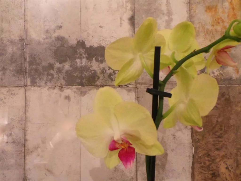 Other in Antler Guest House