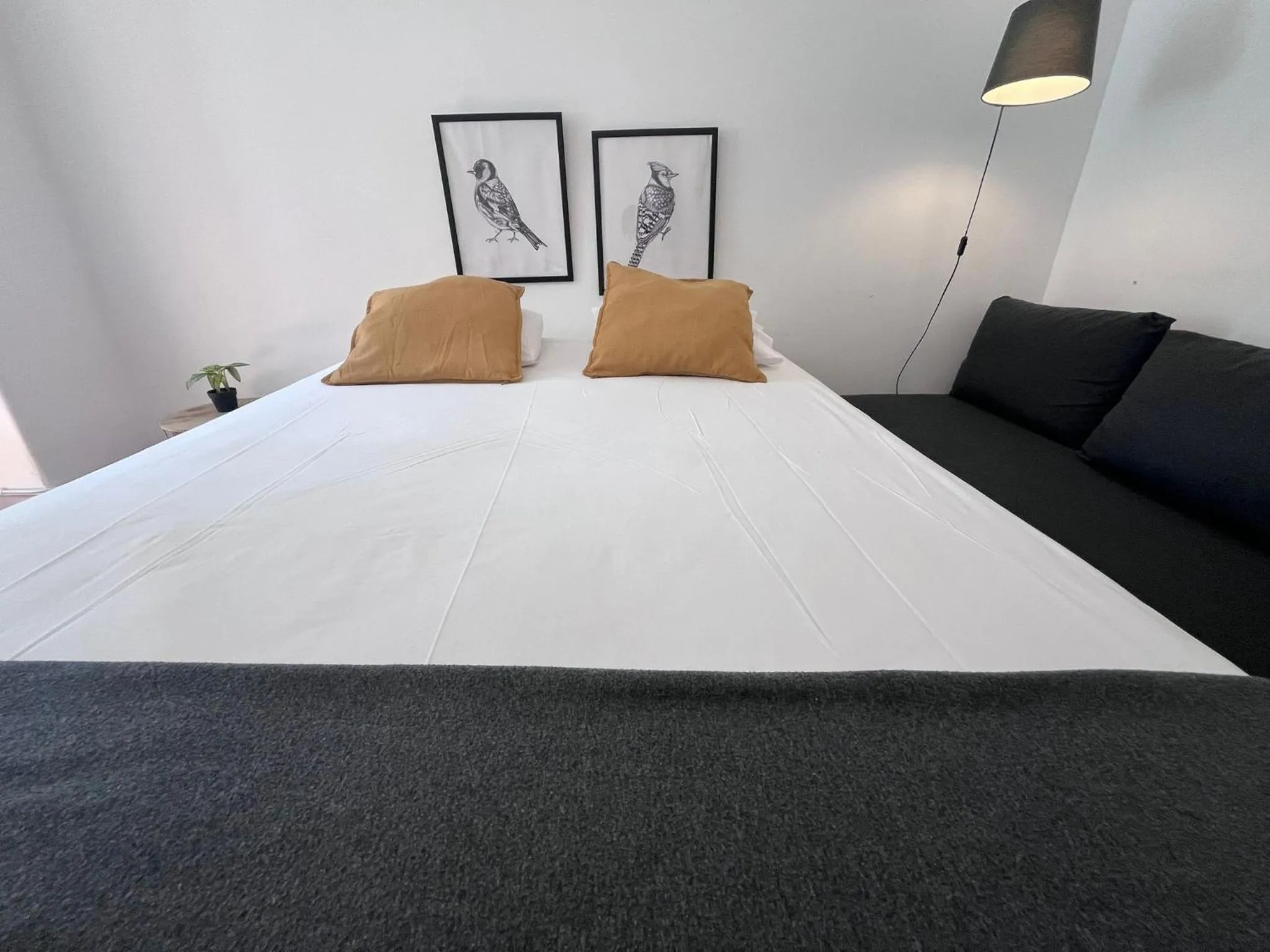 Bed in Castilho 63 Hostel & Suites