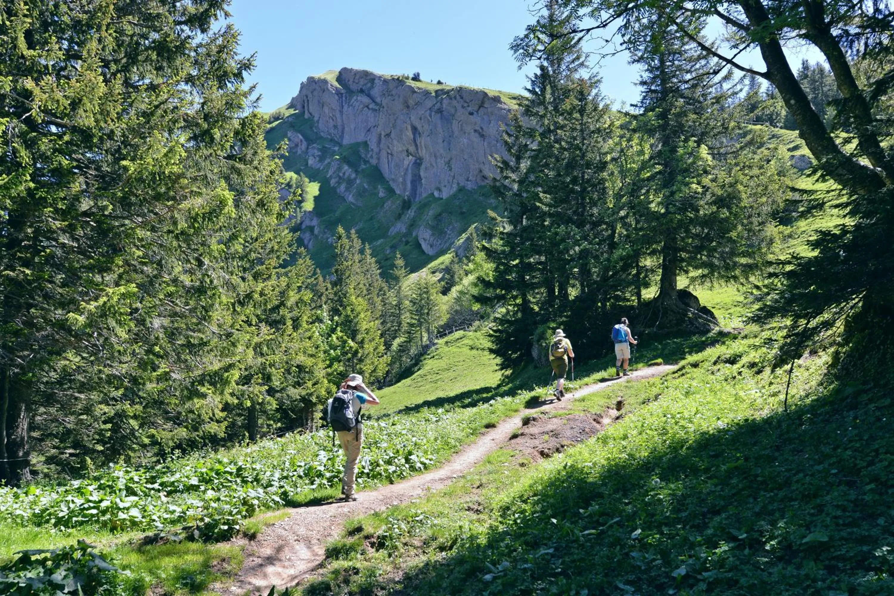 Hiking in Berghüs Schratt - EINFACH ANDERS - Ihr vegetarisches und veganes Biohotel