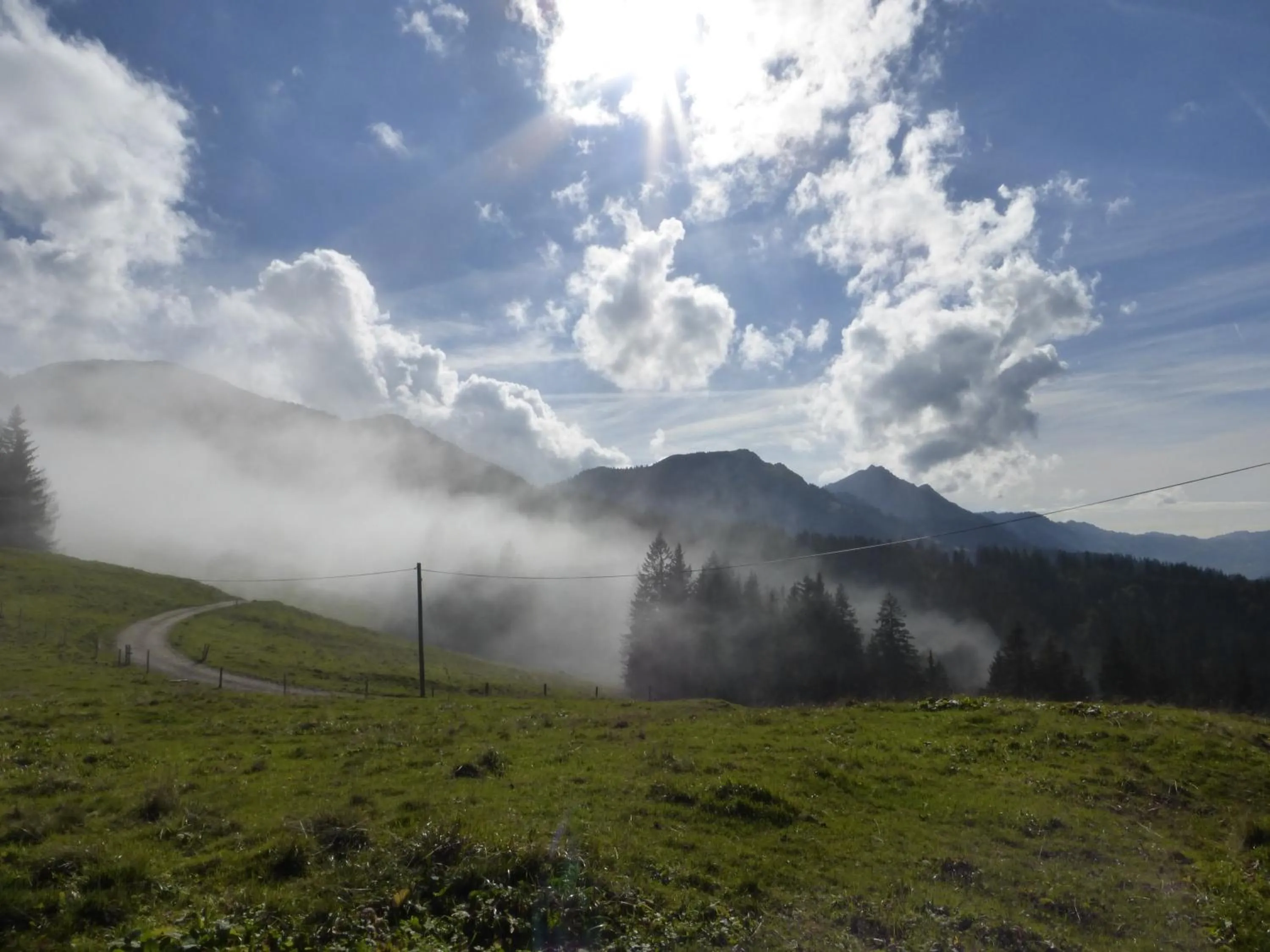 Natural landscape in Berghüs Schratt - EINFACH ANDERS - Ihr vegetarisches und veganes Biohotel