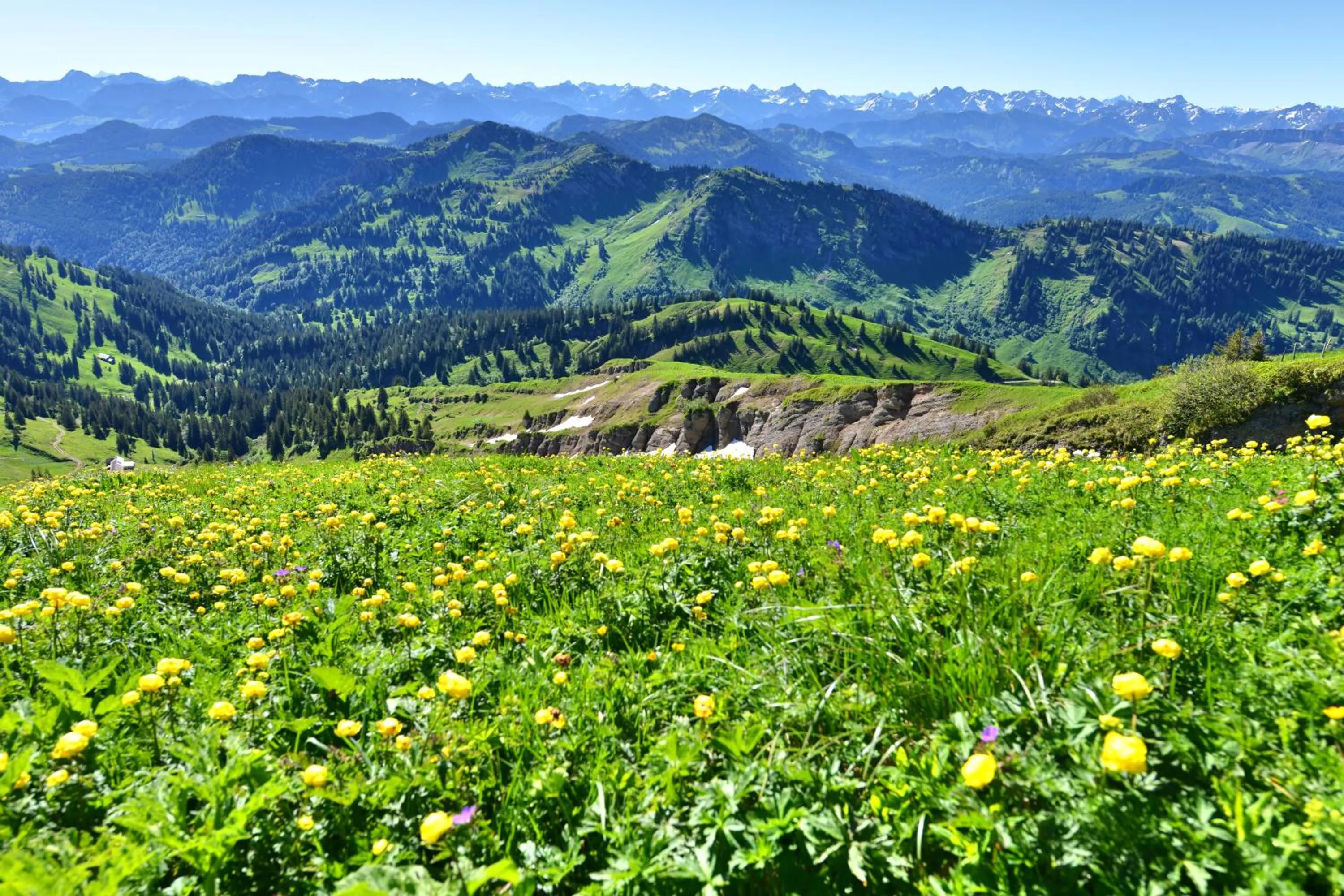 Natural landscape in Berghüs Schratt - EINFACH ANDERS - Ihr vegetarisches und veganes Biohotel