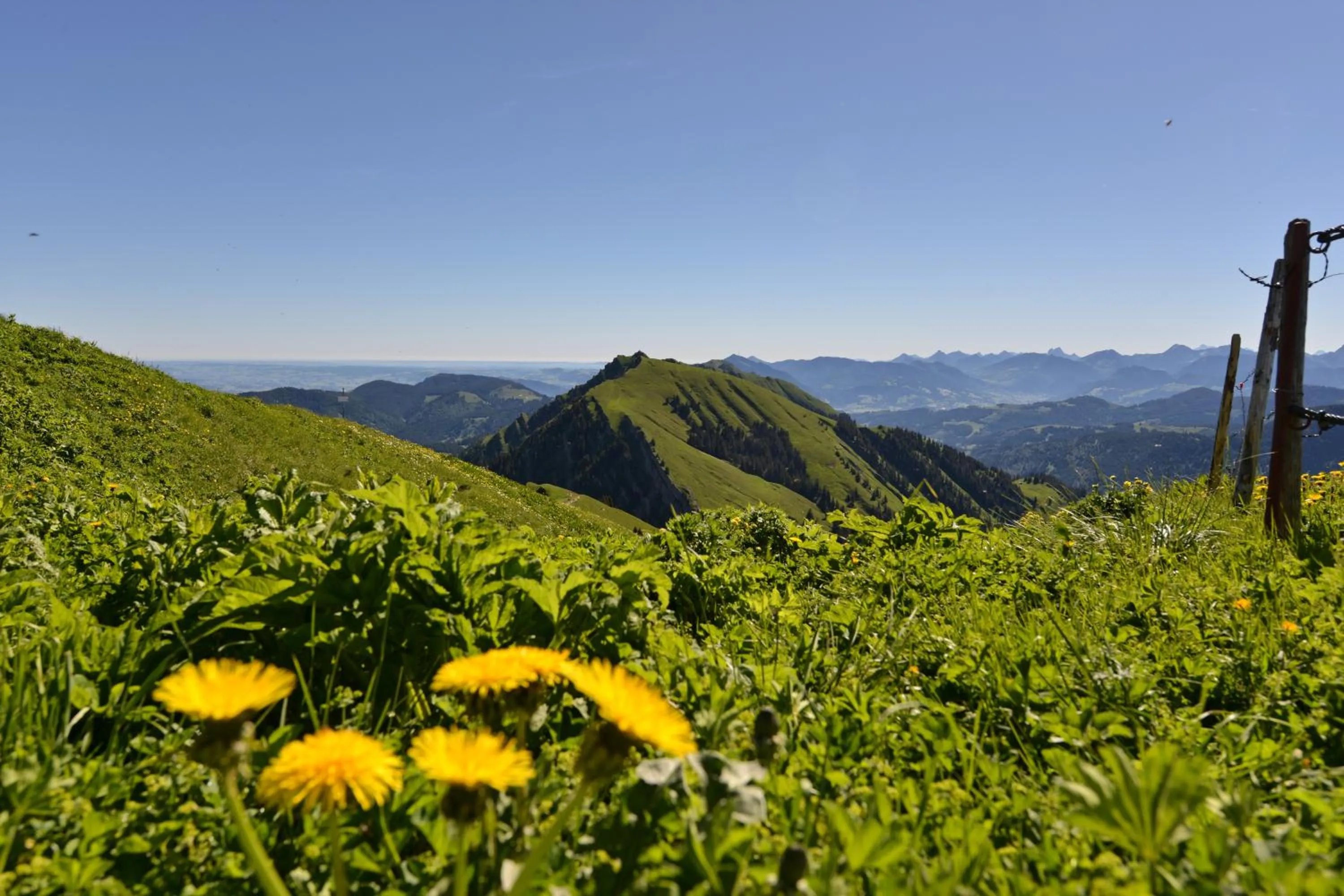Spring in Berghüs Schratt - EINFACH ANDERS - Ihr vegetarisches und veganes Biohotel