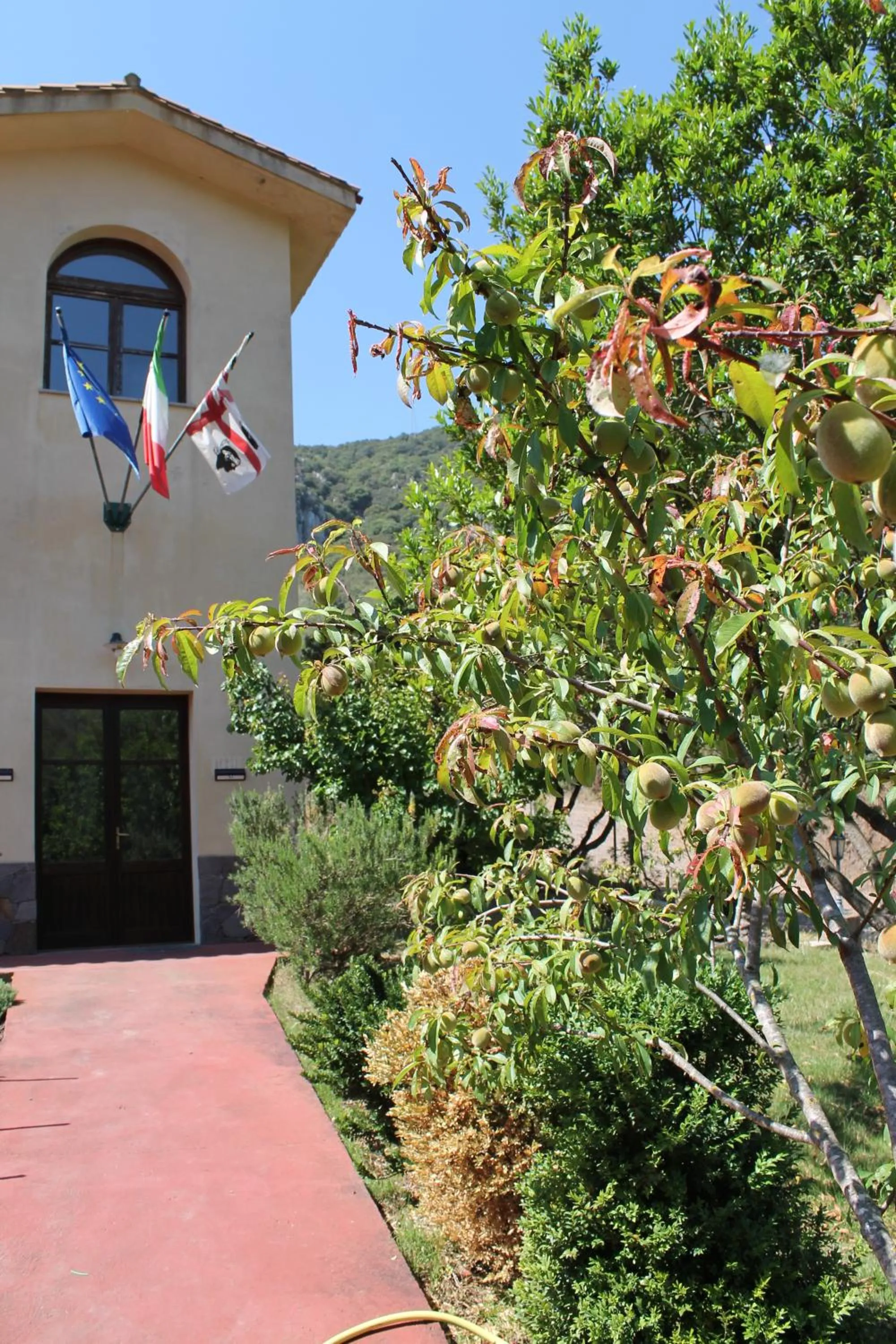 Property building in Ostello Su Mannau