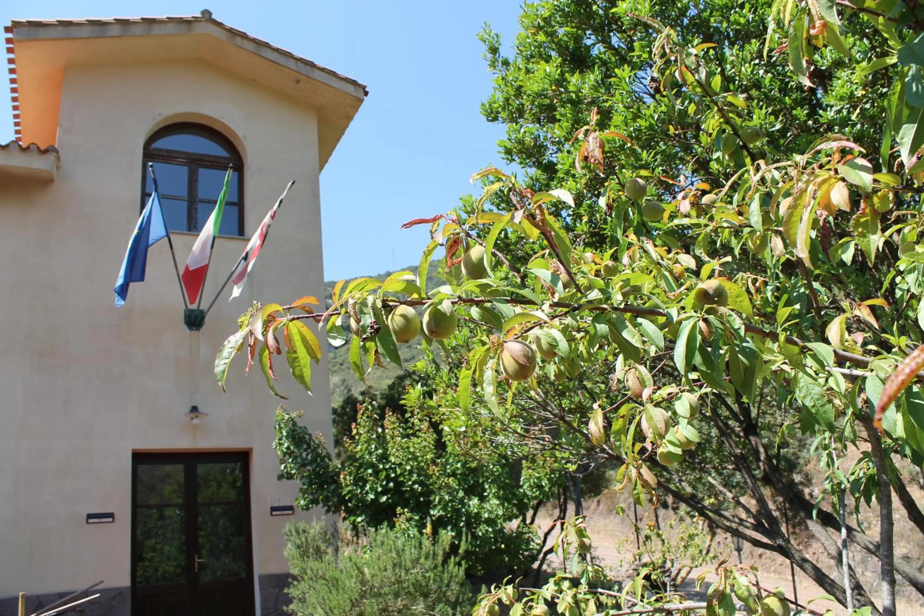 Property building in Ostello Su Mannau