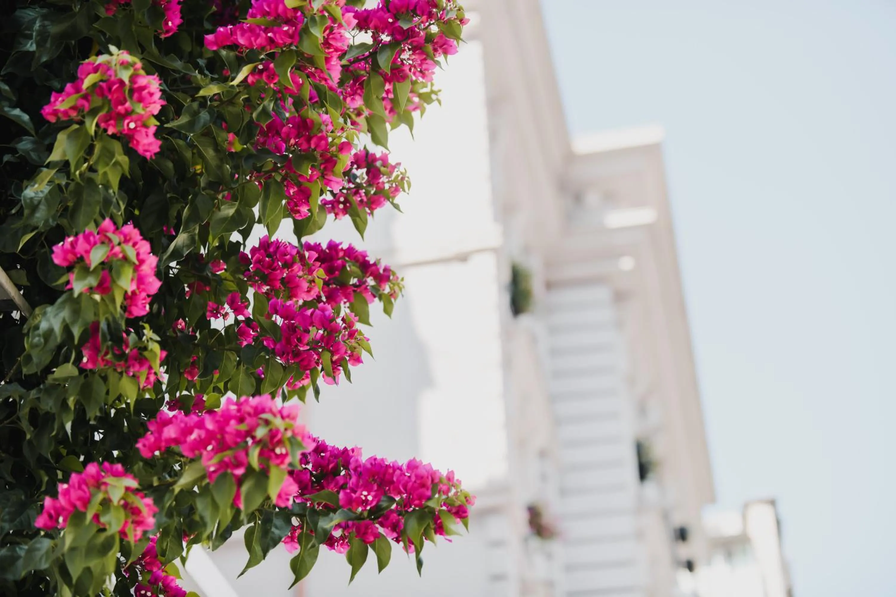 Property building in Lot Boutique Hotel by Hotels and Preference