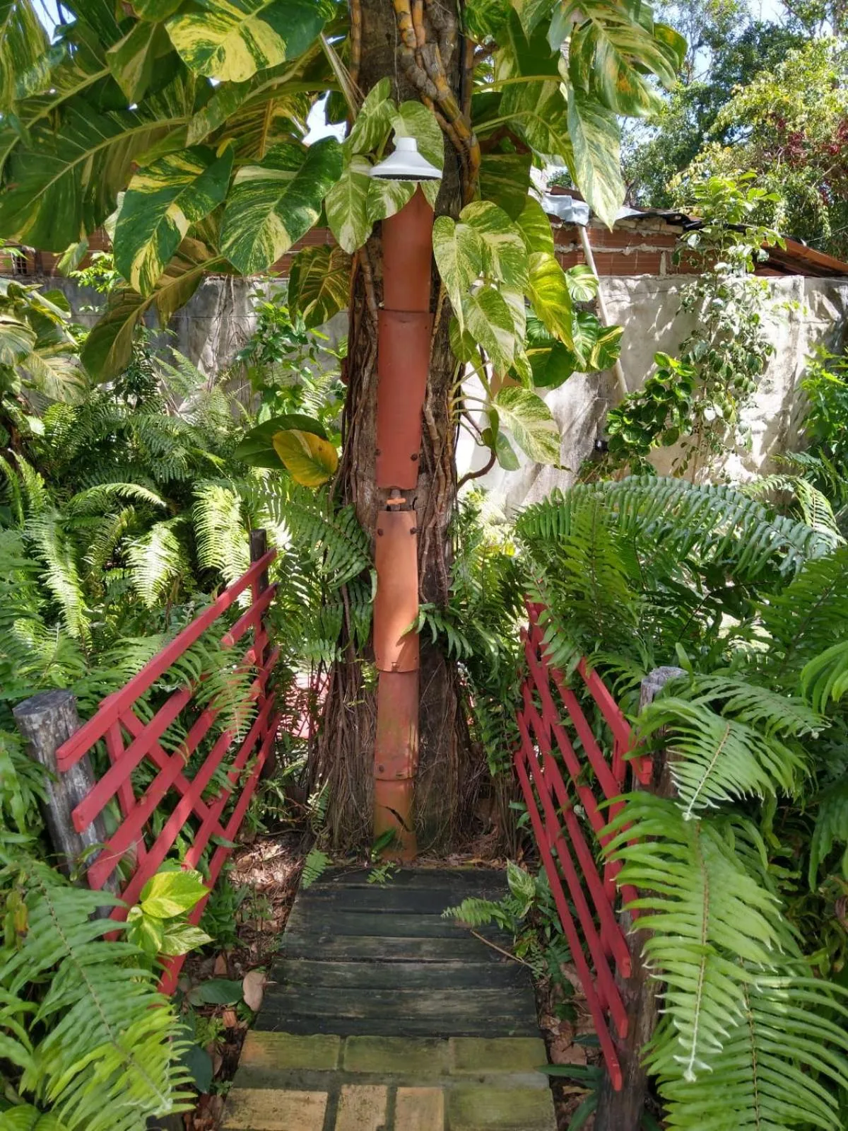 Garden in Pousada Mar Mai